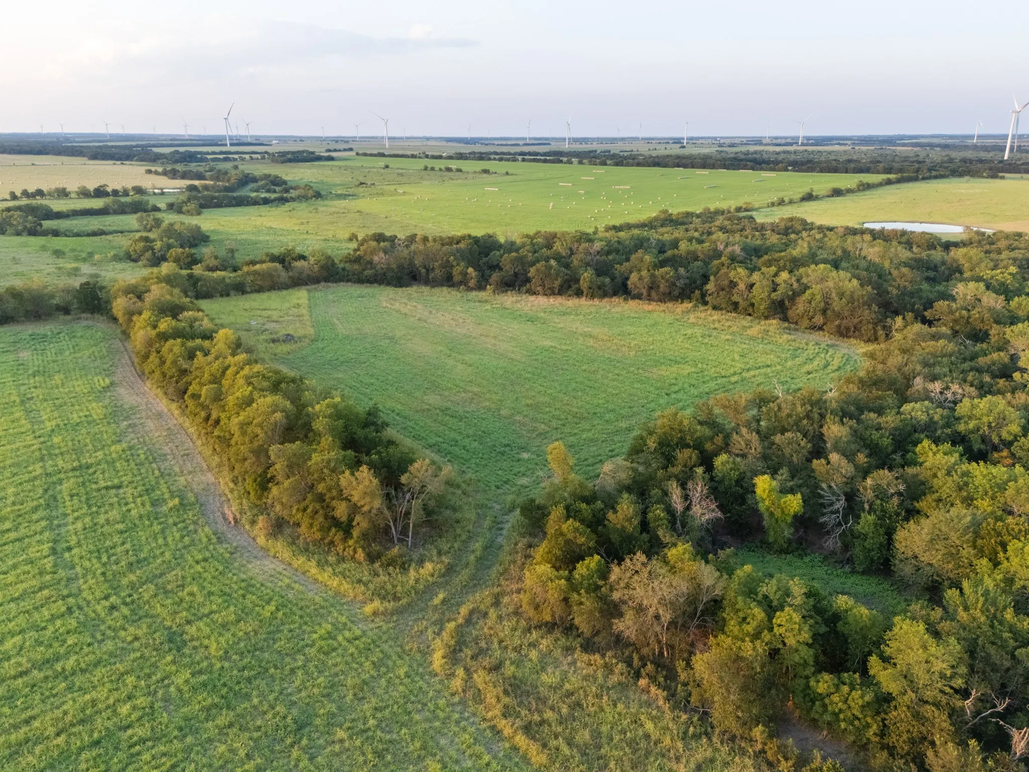 Unimproved Land For Sale in Limestone County , TBD W State Highway 164, Mart, Texas 76664, 0, 0, Garage spaces, 0 Sqft, built in 0, Price $350,000, mls#21043076, Real Estate Agent in Mart, Homes For Sale in Limestone county, Homes For Sale in Mart, Realtor in Mart Texas, Real Estate Brokerage Independent Realty Texas, Luminita Cordes Realtor