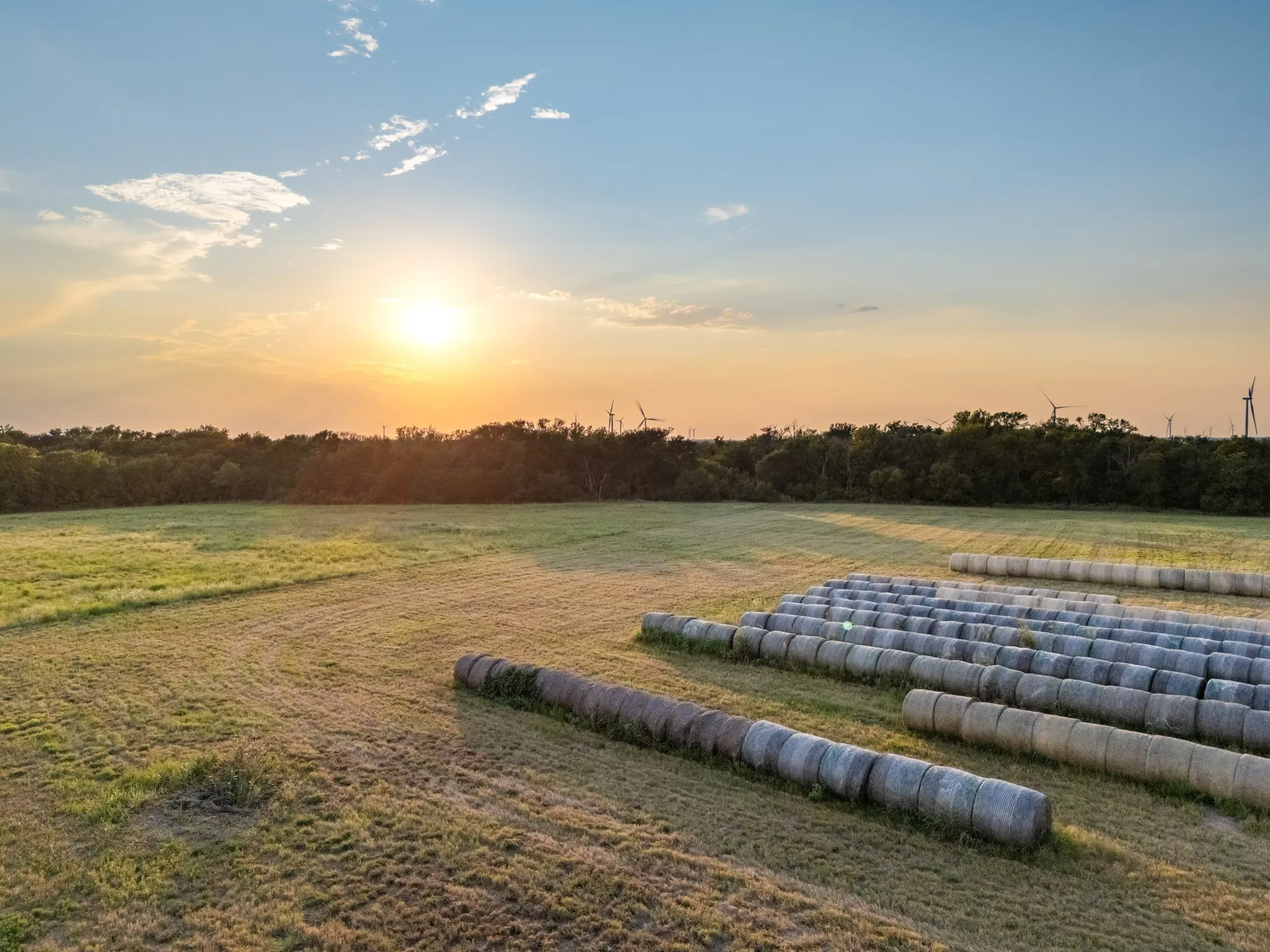 Unimproved Land For Sale in Limestone County , TBD W State Highway 164, Mart, Texas 76664, 0, 0, Garage spaces, 0 Sqft, built in 0, Price $350,000, mls#21043076, Real Estate Agent in Mart, Homes For Sale in Limestone county, Homes For Sale in Mart, Realtor in Mart Texas, Real Estate Brokerage Independent Realty Texas, Luminita Cordes Realtor