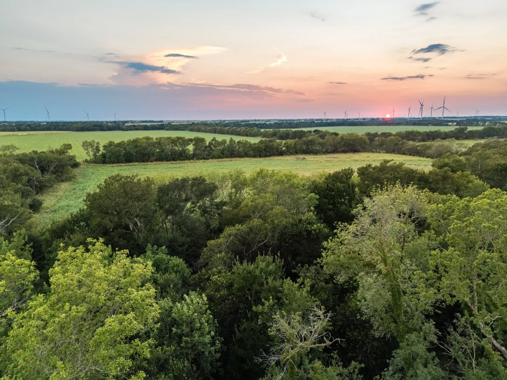 Unimproved Land For Sale in Limestone County , TBD W State Highway 164, Mart, Texas 76664, 0, 0, Garage spaces, 0 Sqft, built in 0, Price $350,000, mls#21043076, Real Estate Agent in Mart, Homes For Sale in Limestone county, Homes For Sale in Mart, Realtor in Mart Texas, Real Estate Brokerage Independent Realty Texas, Luminita Cordes Realtor