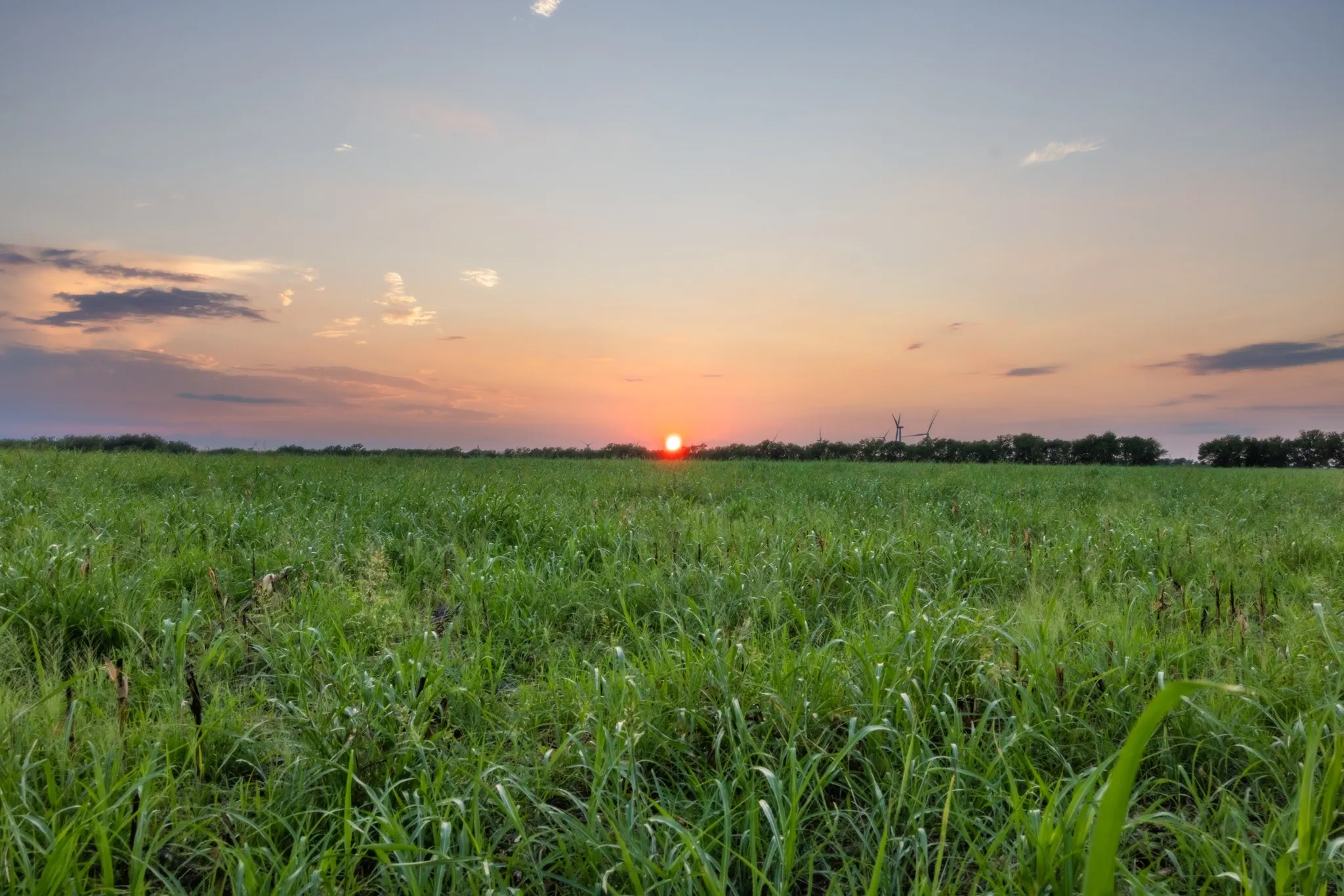 Unimproved Land For Sale in Limestone County , TBD W State Highway 164, Mart, Texas 76664, 0, 0, Garage spaces, 0 Sqft, built in 0, Price $350,000, mls#21043076, Real Estate Agent in Mart, Homes For Sale in Limestone county, Homes For Sale in Mart, Realtor in Mart Texas, Real Estate Brokerage Independent Realty Texas, Luminita Cordes Realtor