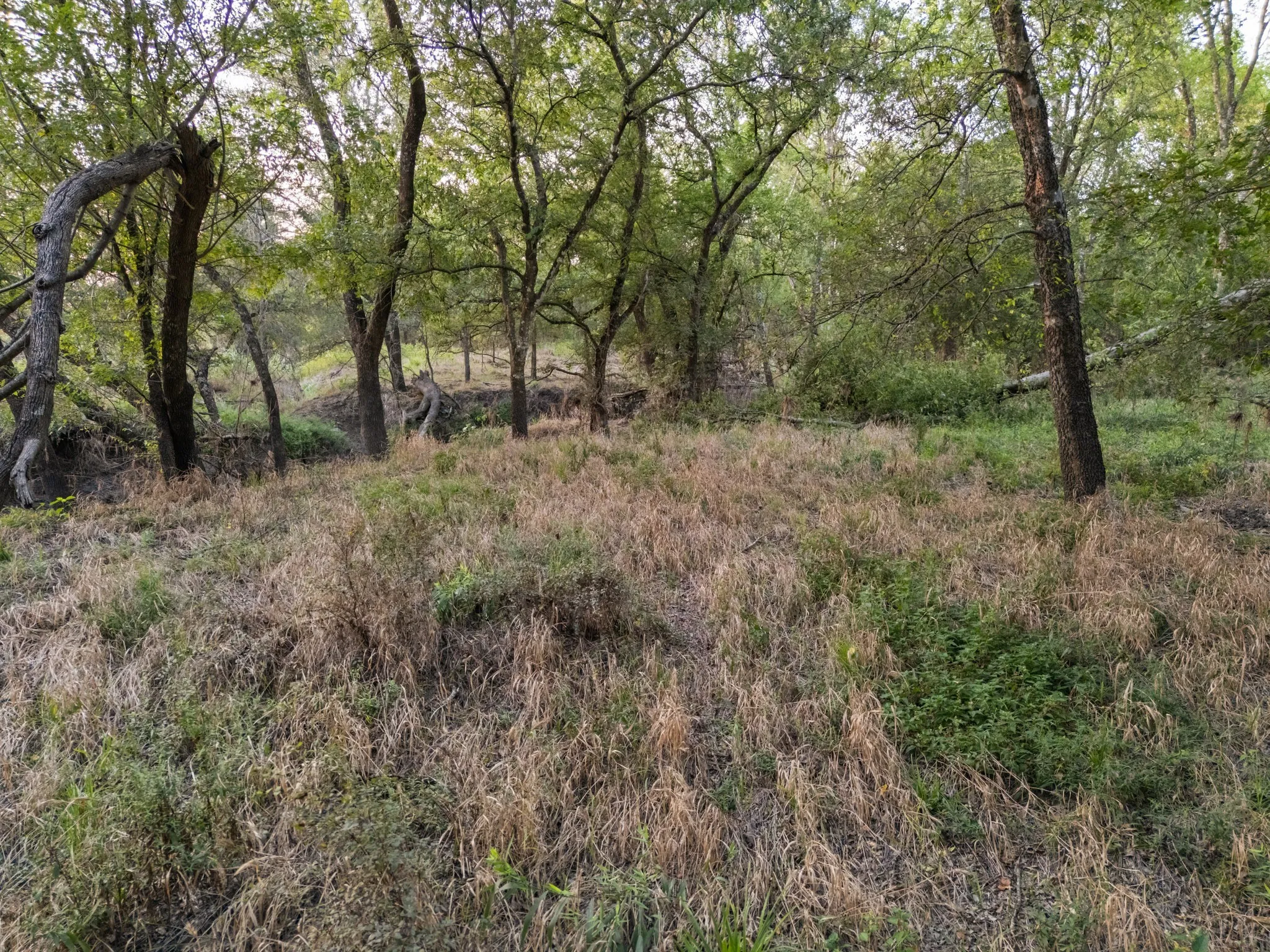 Unimproved Land For Sale in Limestone County , TBD W State Highway 164, Mart, Texas 76664, 0, 0, Garage spaces, 0 Sqft, built in 0, Price $350,000, mls#21043076, Real Estate Agent in Mart, Homes For Sale in Limestone county, Homes For Sale in Mart, Realtor in Mart Texas, Real Estate Brokerage Independent Realty Texas, Luminita Cordes Realtor