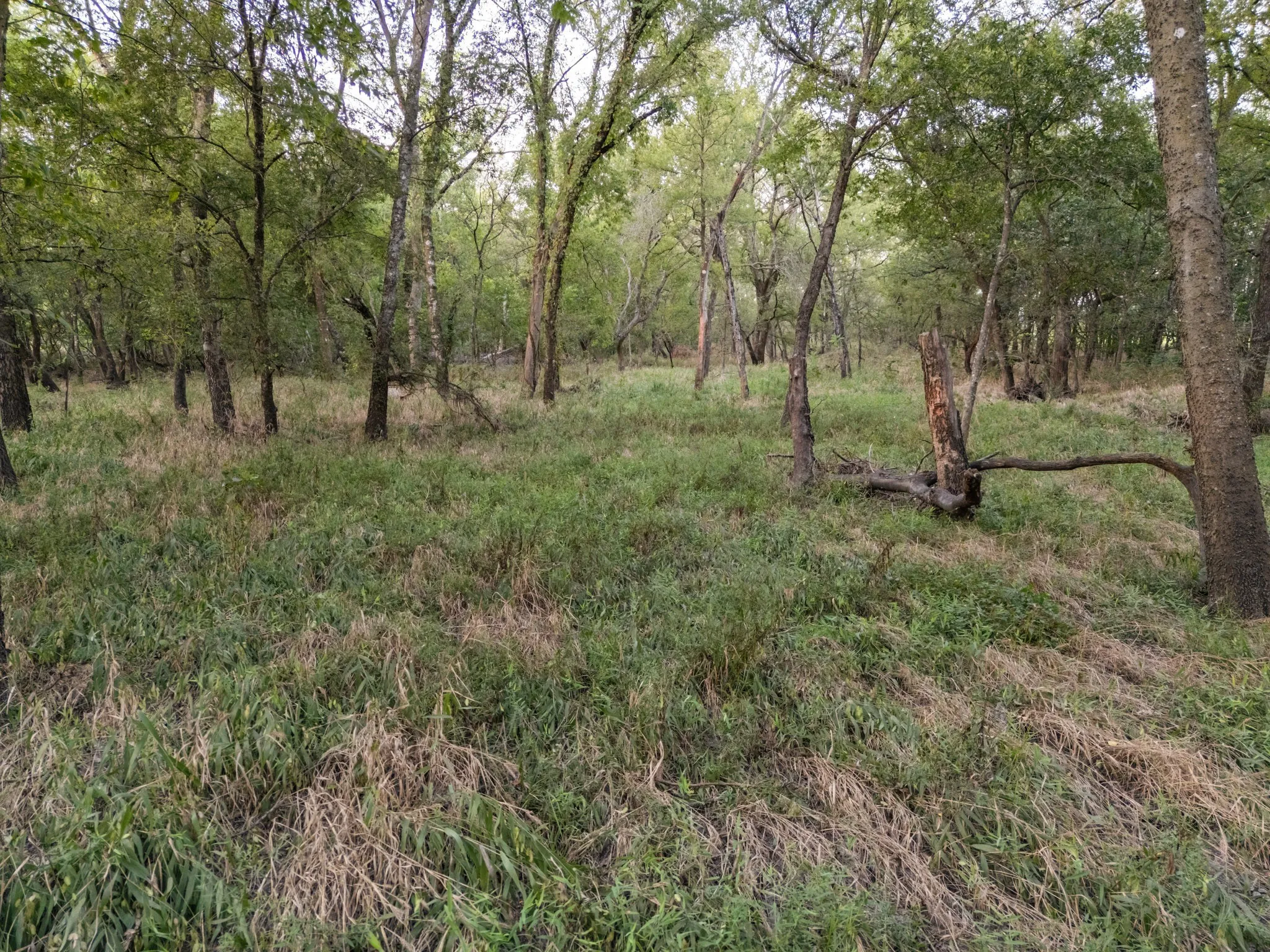 Unimproved Land For Sale in Limestone County , TBD W State Highway 164, Mart, Texas 76664, 0, 0, Garage spaces, 0 Sqft, built in 0, Price $350,000, mls#21043076, Real Estate Agent in Mart, Homes For Sale in Limestone county, Homes For Sale in Mart, Realtor in Mart Texas, Real Estate Brokerage Independent Realty Texas, Luminita Cordes Realtor