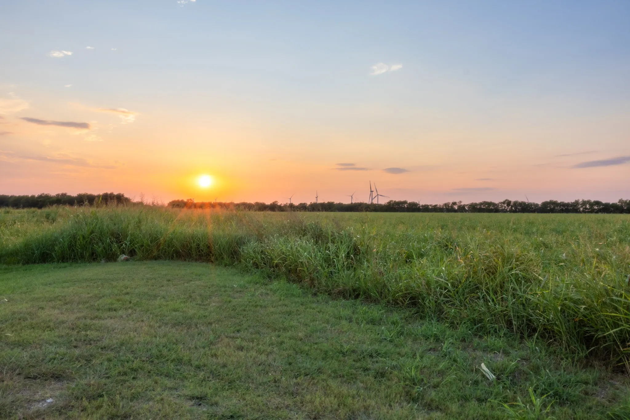 Unimproved Land For Sale in Limestone County , TBD W State Highway 164, Mart, Texas 76664, 0, 0, Garage spaces, 0 Sqft, built in 0, Price $350,000, mls#21043076, Real Estate Agent in Mart, Homes For Sale in Limestone county, Homes For Sale in Mart, Realtor in Mart Texas, Real Estate Brokerage Independent Realty Texas, Luminita Cordes Realtor