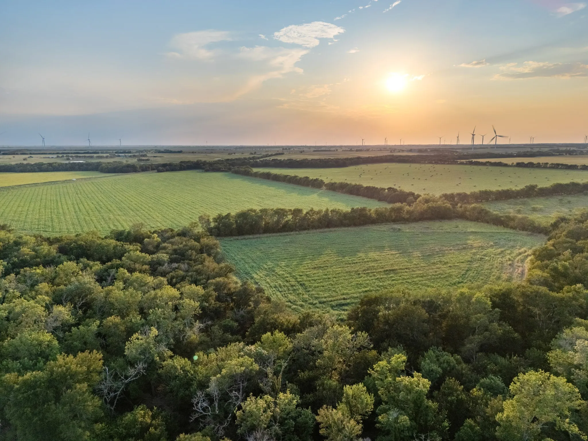 Unimproved Land For Sale in Limestone County , TBD W State Highway 164, Mart, Texas 76664, 0, 0, Garage spaces, 0 Sqft, built in 0, Price $350,000, mls#21043076, Real Estate Agent in Mart, Homes For Sale in Limestone county, Homes For Sale in Mart, Realtor in Mart Texas, Real Estate Brokerage Independent Realty Texas, Luminita Cordes Realtor