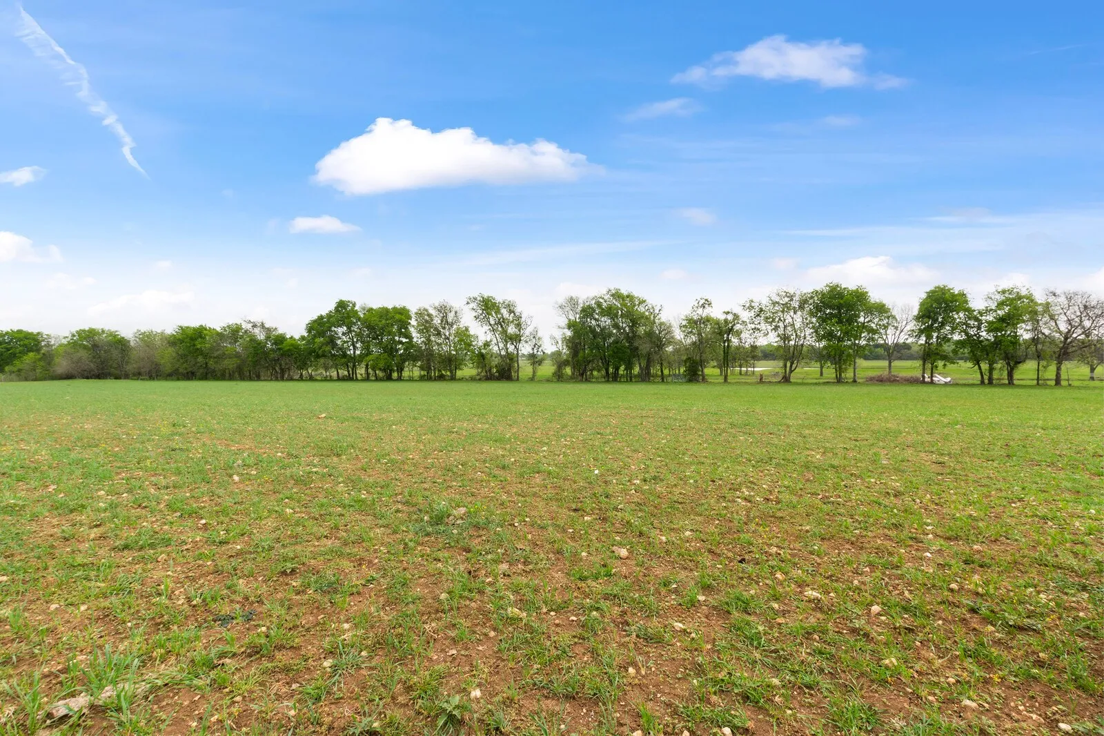 View of green lawn