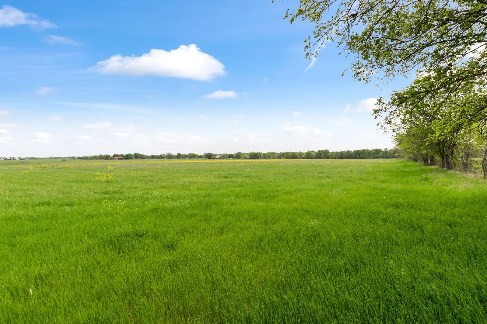 View of local wilderness with rural landscape