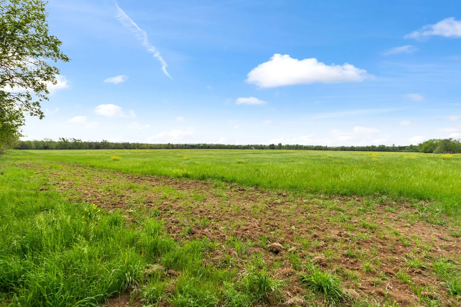 View of undeveloped land with rural landscape