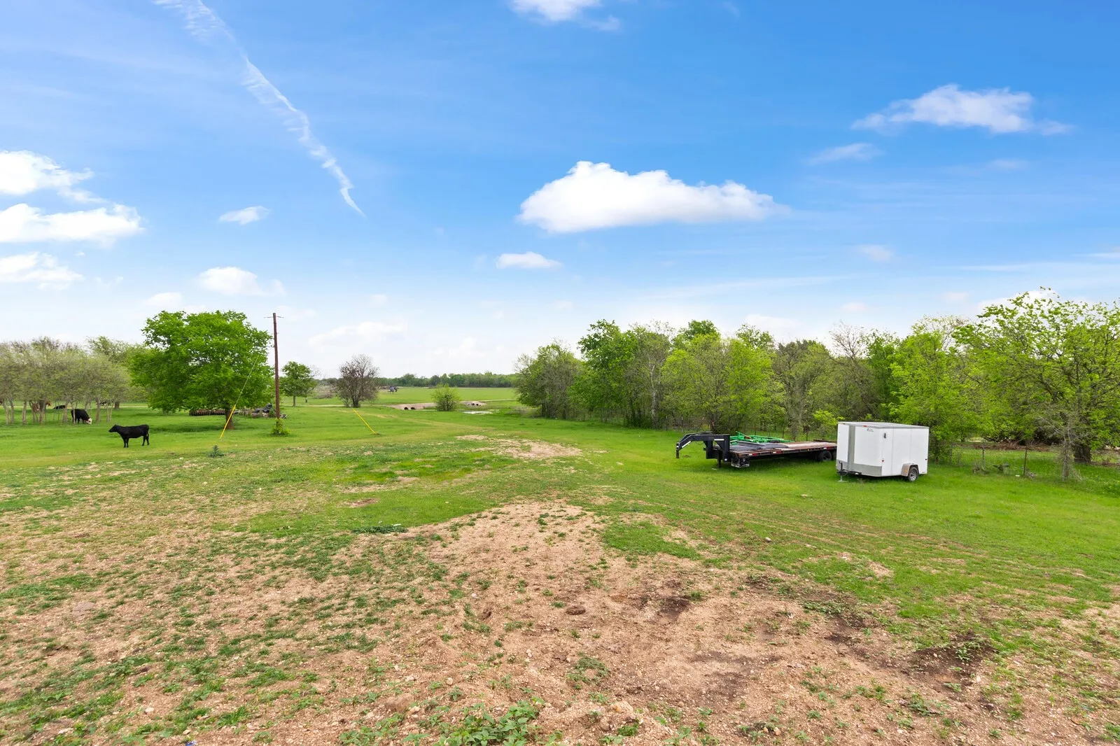 View of grassy yard