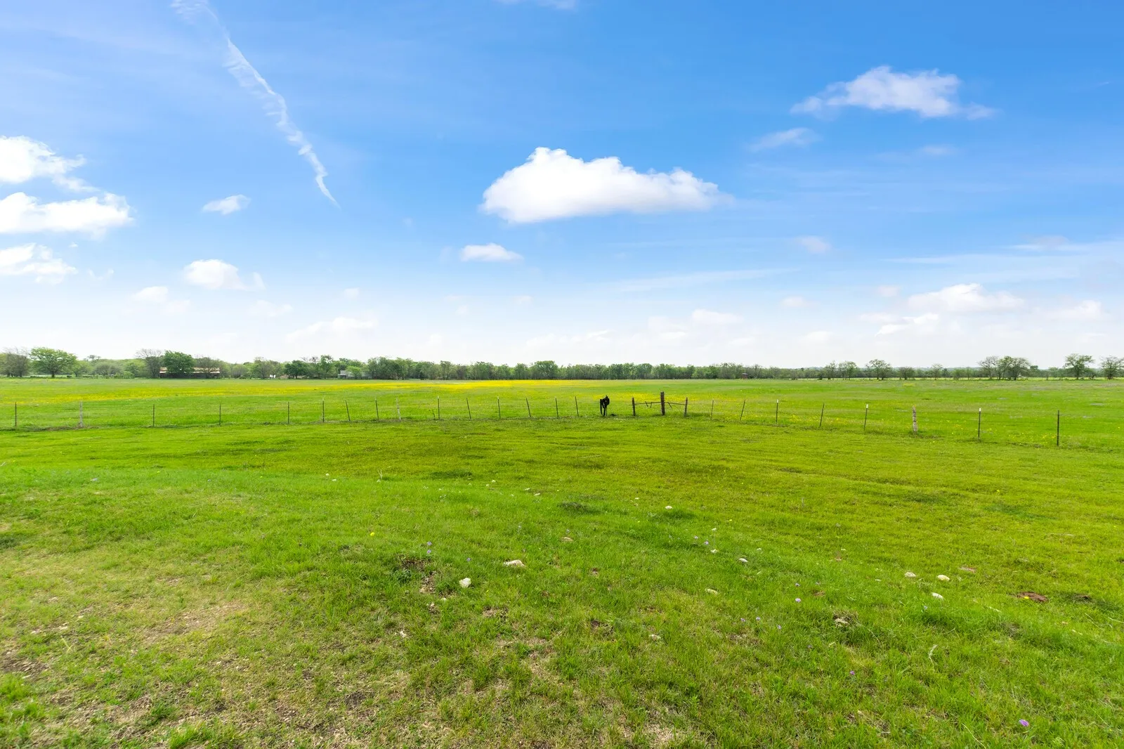 View of yard with a rural view