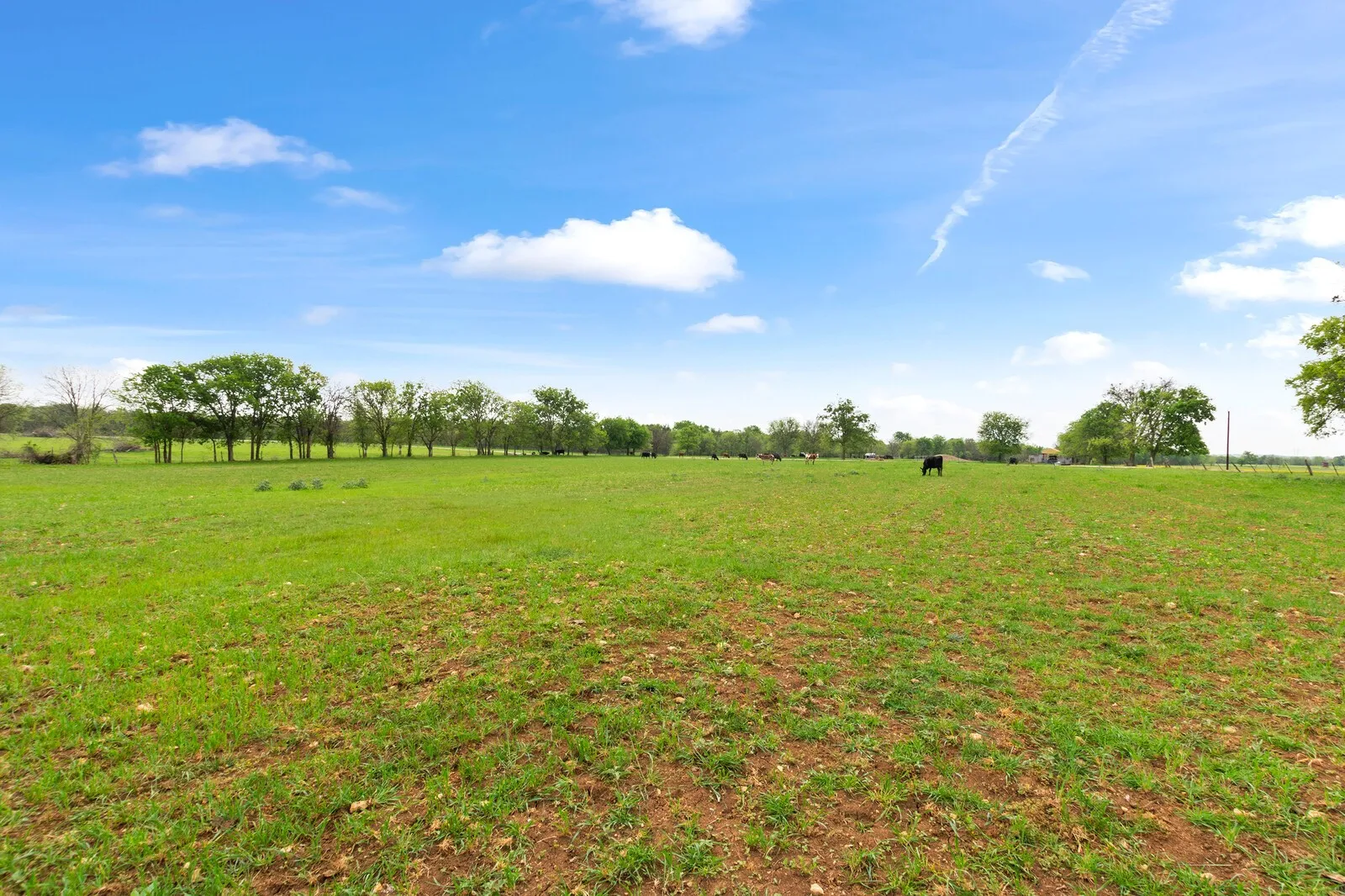 View of grassy yard featuring a rural view