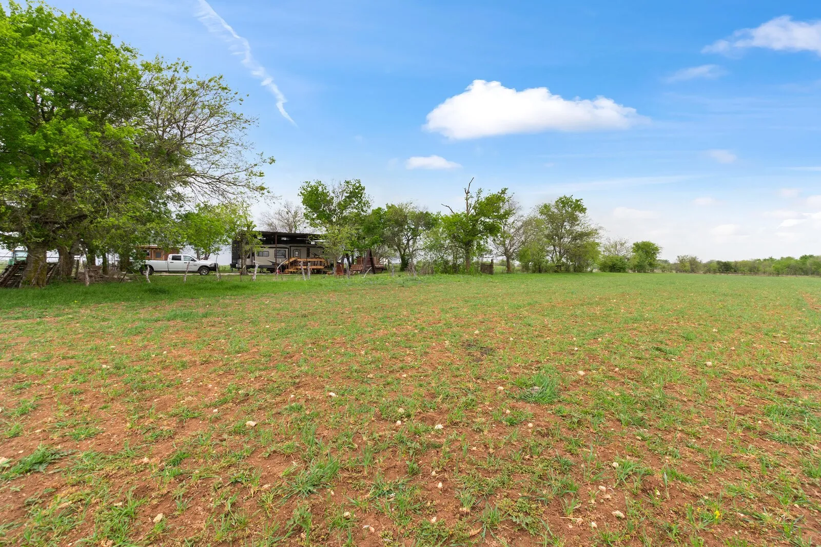 View of grassy yard