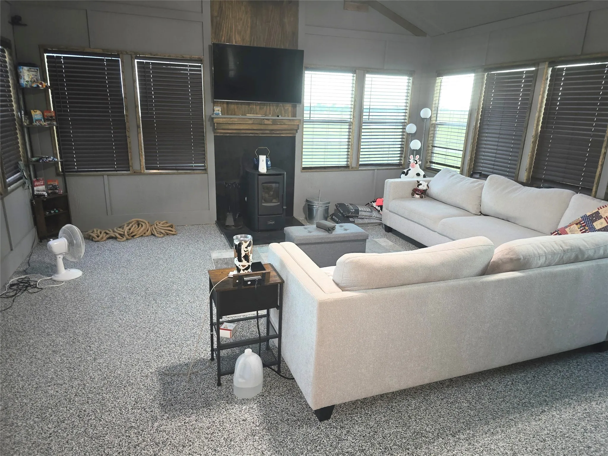 Living area with a wood stove and a decorative wall