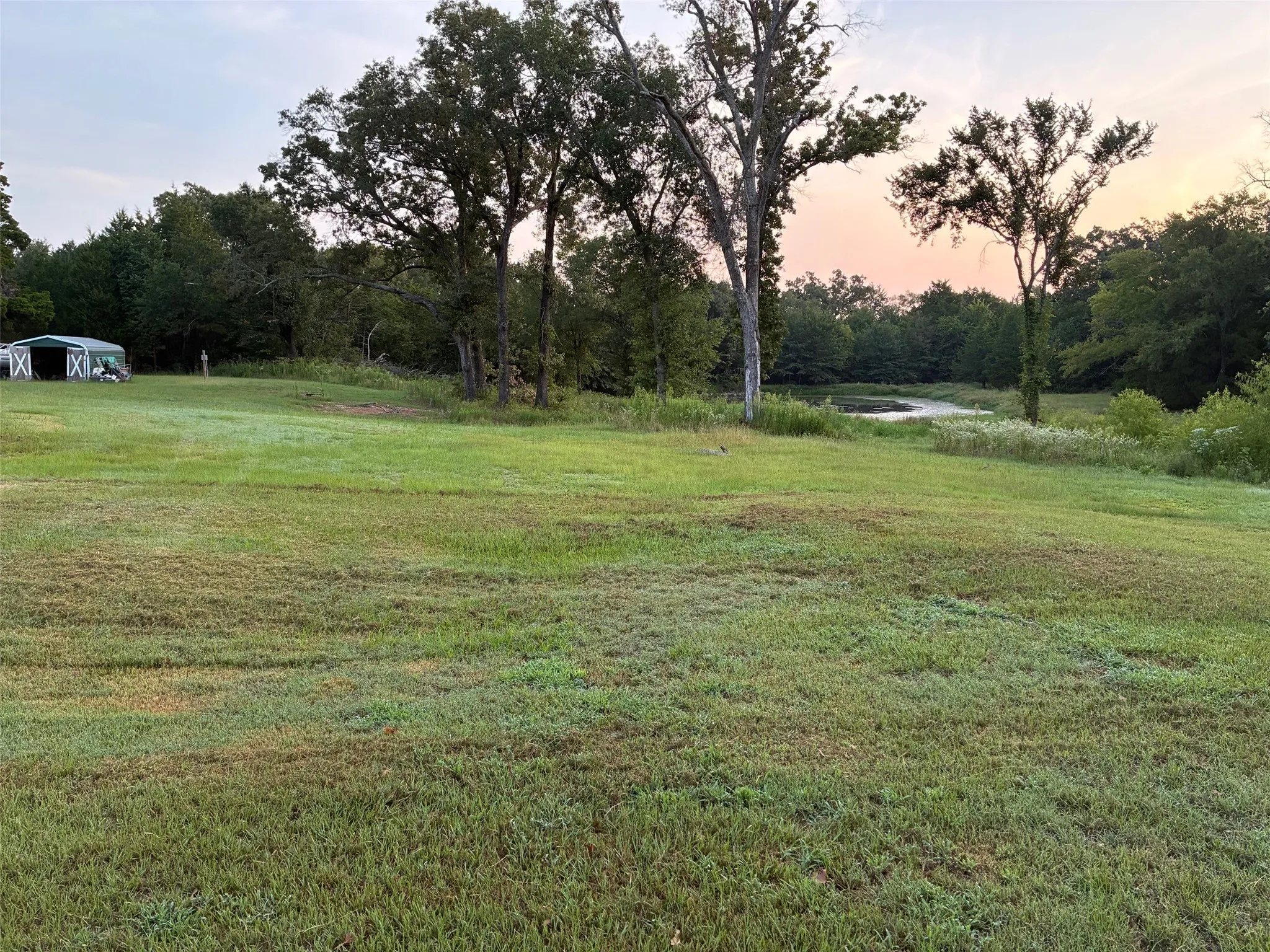 View of grassy yard