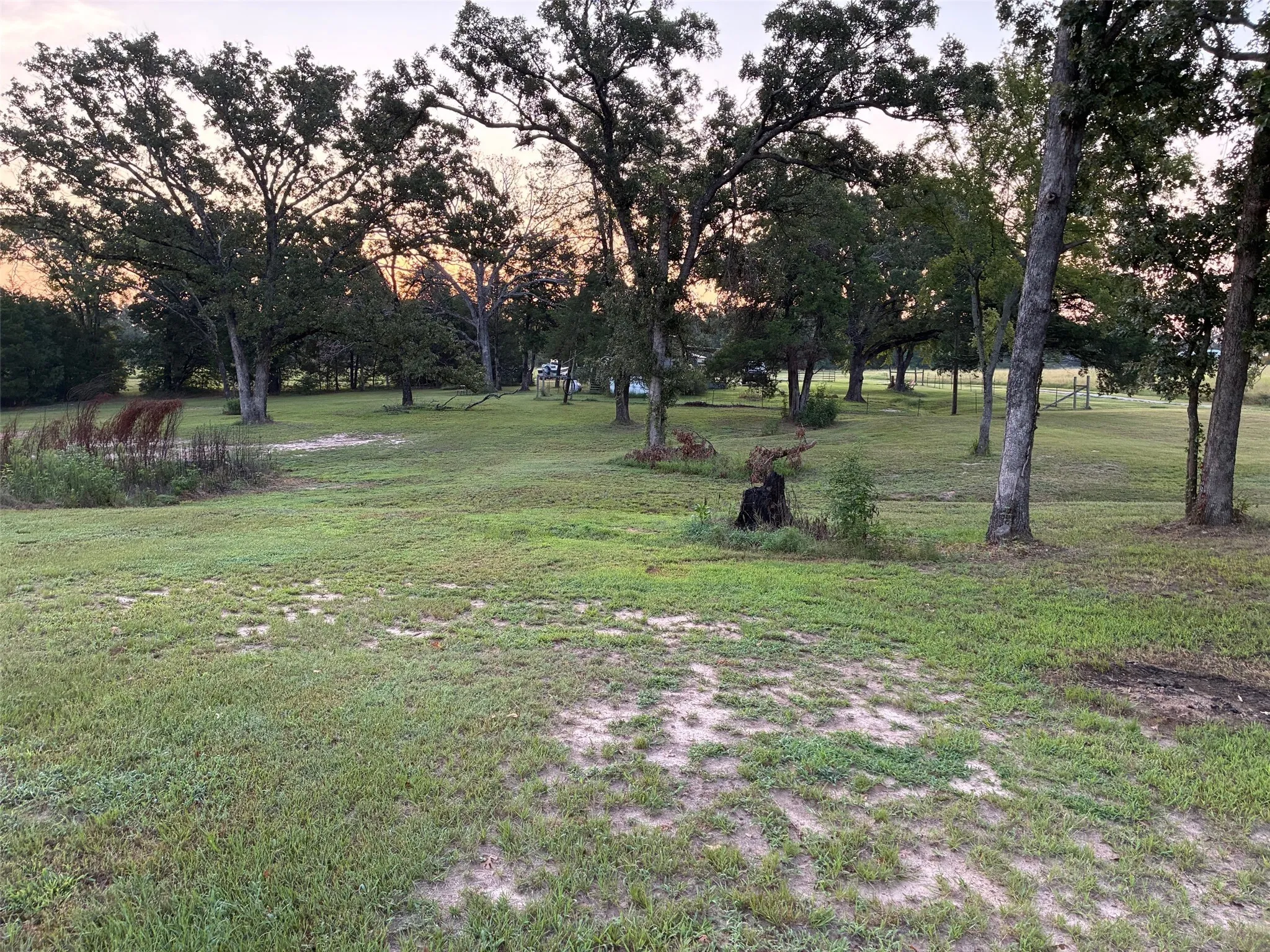 View of green lawn featuring view of wooded area