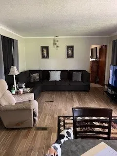 Living area featuring wood finished floors and a textured ceiling