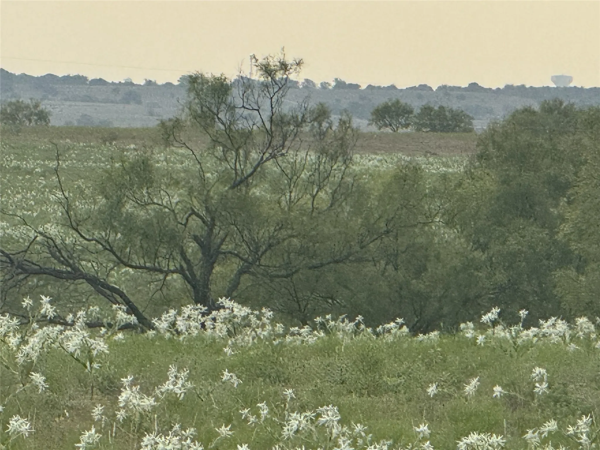 Unimproved Land For Sale in Wise County , 279 Private Road 4512, Decatur, Texas 76234, 0, 0, Garage spaces, 0 Sqft, built in 1970, mls#21029465, Real Estate Agent in Decatur, Homes For Sale in Wise county, Homes For Sale in Decatur, Realtor in Decatur Texas, Real Estate Brokerage Independent Realty Texas, Luminita Cordes Realtor
