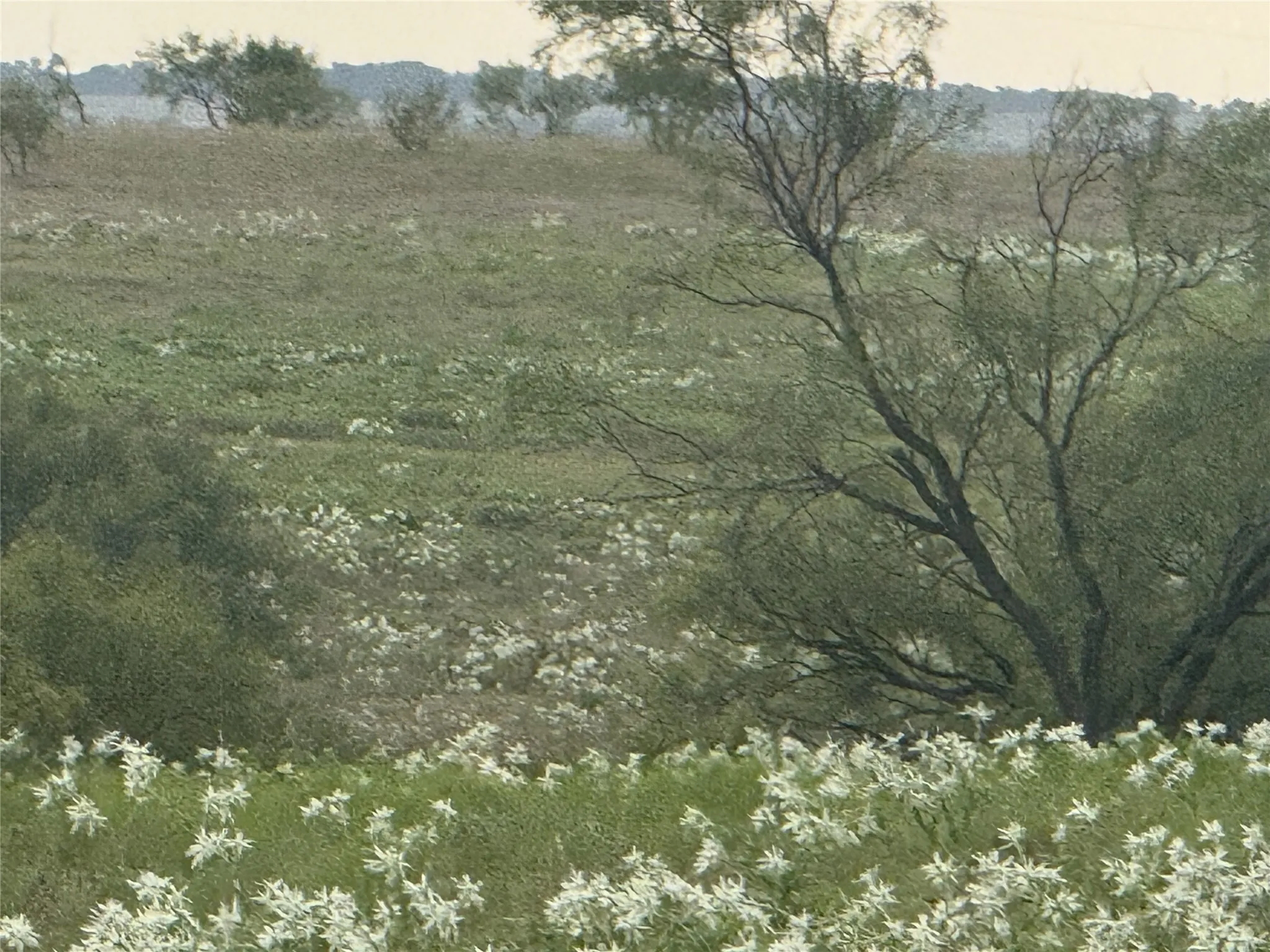 Unimproved Land For Sale in Wise County , 279 Private Road 4512, Decatur, Texas 76234, 0, 0, Garage spaces, 0 Sqft, built in 1970, mls#21029465, Real Estate Agent in Decatur, Homes For Sale in Wise county, Homes For Sale in Decatur, Realtor in Decatur Texas, Real Estate Brokerage Independent Realty Texas, Luminita Cordes Realtor