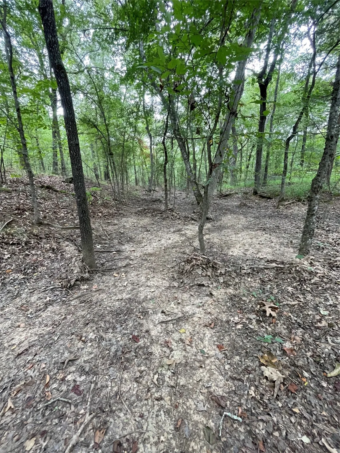 Unimproved Land For Sale in Titus County , 0016 CR 1915, Talco, Texas 75487, 0, 0, Garage spaces, 0 Sqft, built in 0, Price $99,428, mls#21045214, Real Estate Agent in Talco, Homes For Sale in Titus county, Homes For Sale in Talco, Realtor in Talco Texas, Real Estate Brokerage Independent Realty Texas, Luminita Cordes Realtor