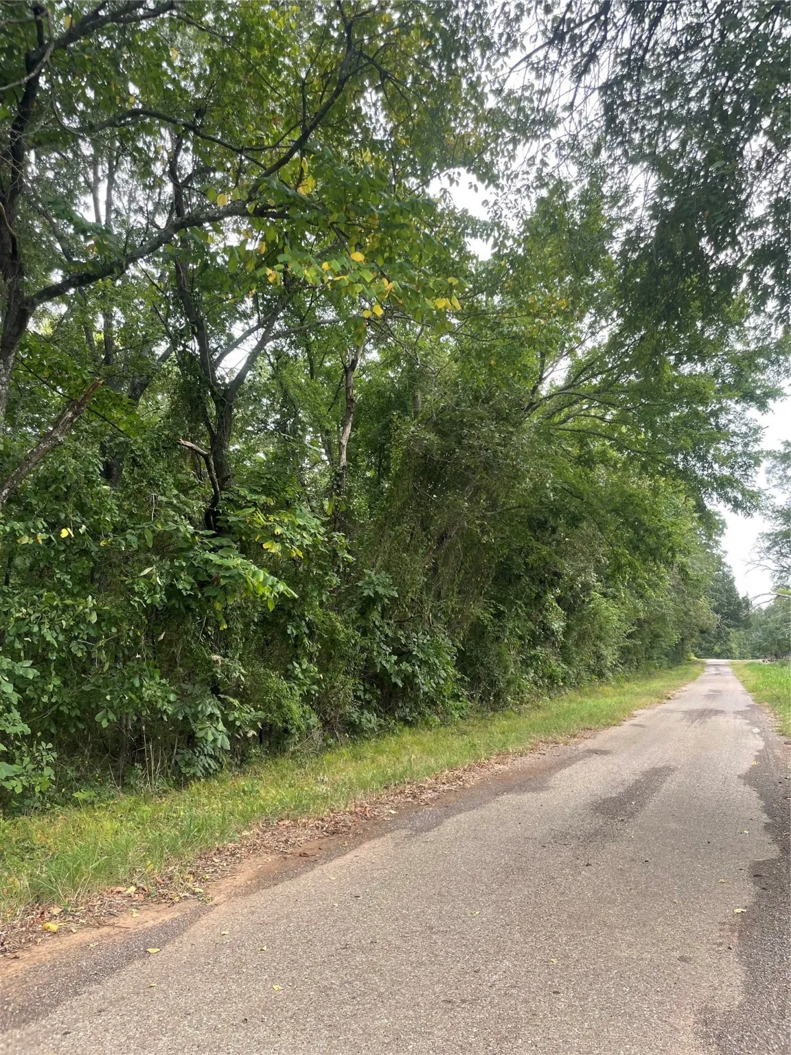 Unimproved Land For Sale in Titus County , 0016 CR 1915, Talco, Texas 75487, 0, 0, Garage spaces, 0 Sqft, built in 0, Price $99,428, mls#21045214, Real Estate Agent in Talco, Homes For Sale in Titus county, Homes For Sale in Talco, Realtor in Talco Texas, Real Estate Brokerage Independent Realty Texas, Luminita Cordes Realtor
