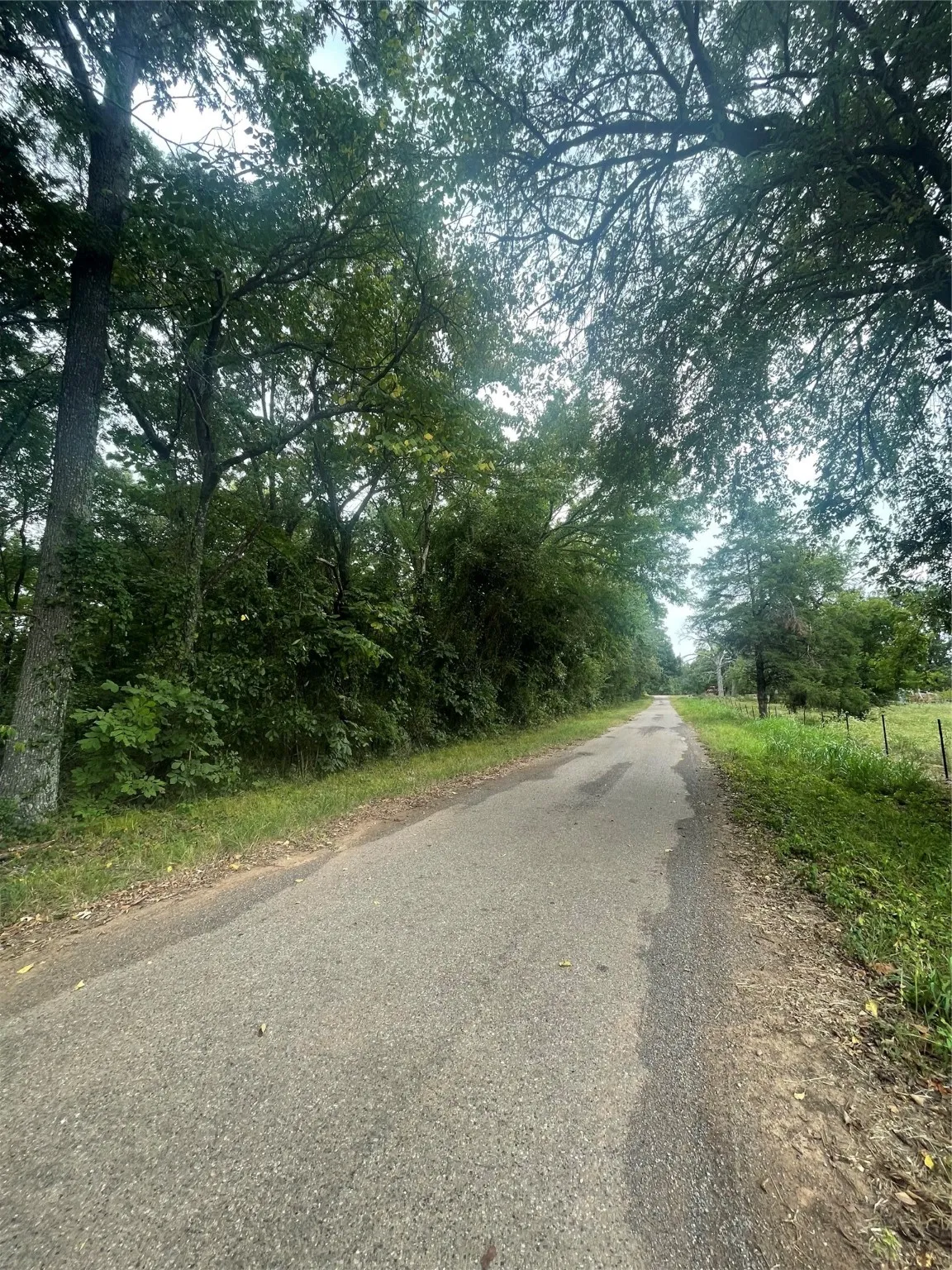 Unimproved Land For Sale in Titus County , 0016 CR 1915, Talco, Texas 75487, 0, 0, Garage spaces, 0 Sqft, built in 0, Price $99,428, mls#21045214, Real Estate Agent in Talco, Homes For Sale in Titus county, Homes For Sale in Talco, Realtor in Talco Texas, Real Estate Brokerage Independent Realty Texas, Luminita Cordes Realtor