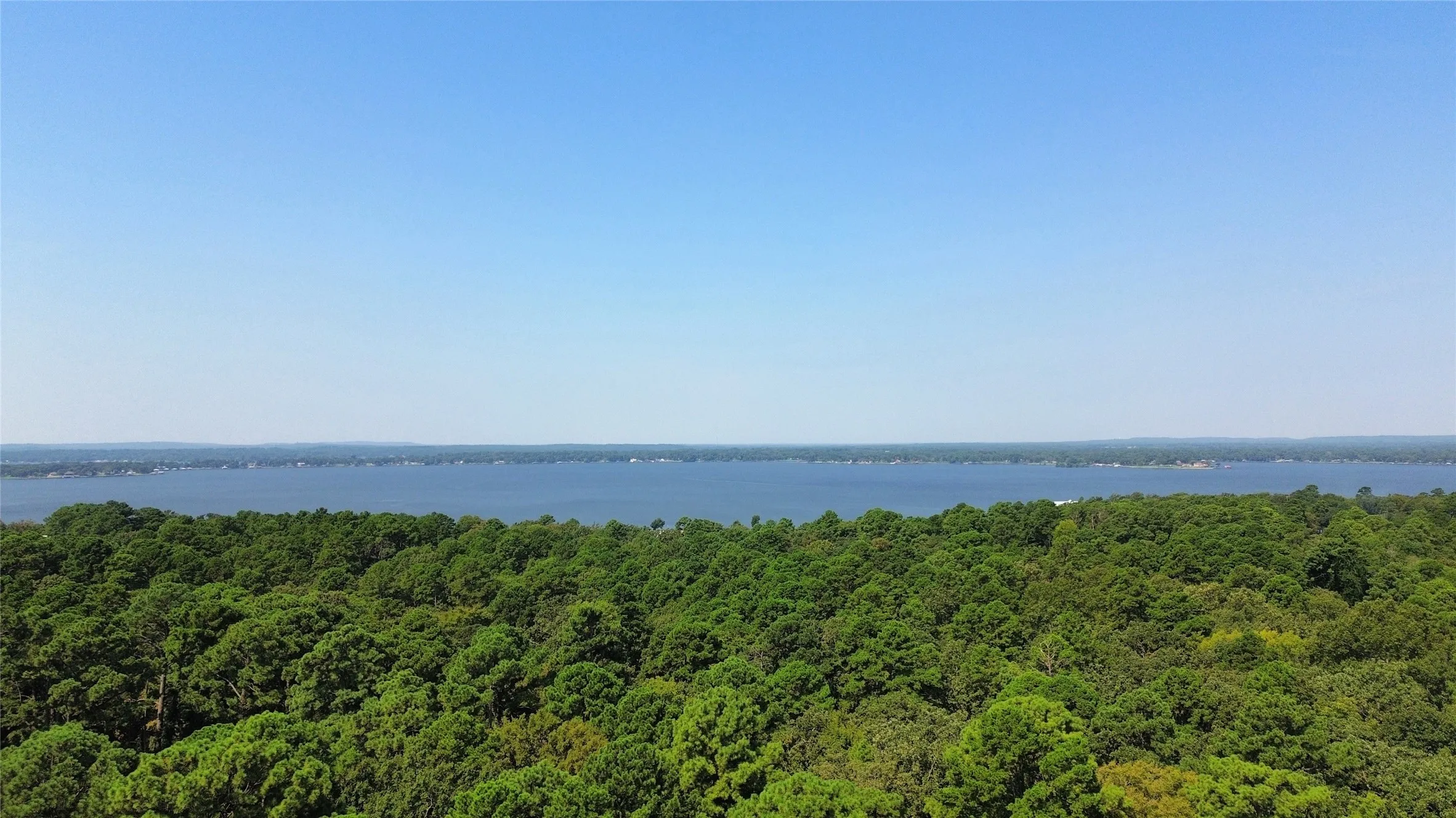 Water view featuring a forest