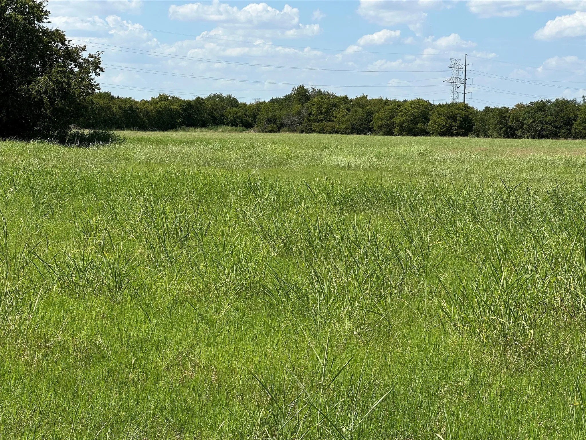 View of tree filled area featuring a view of rural / pastoral area