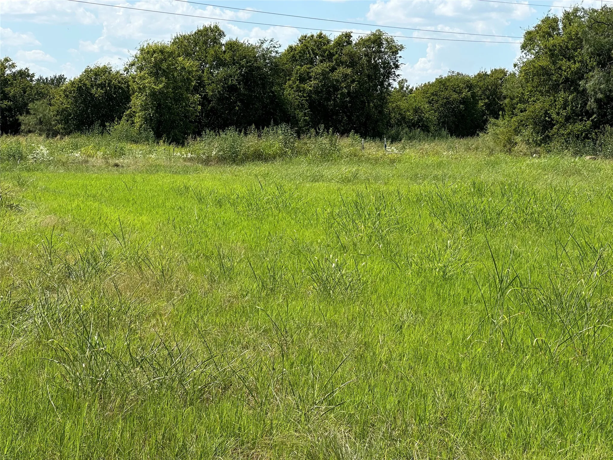View of nature featuring rural landscape