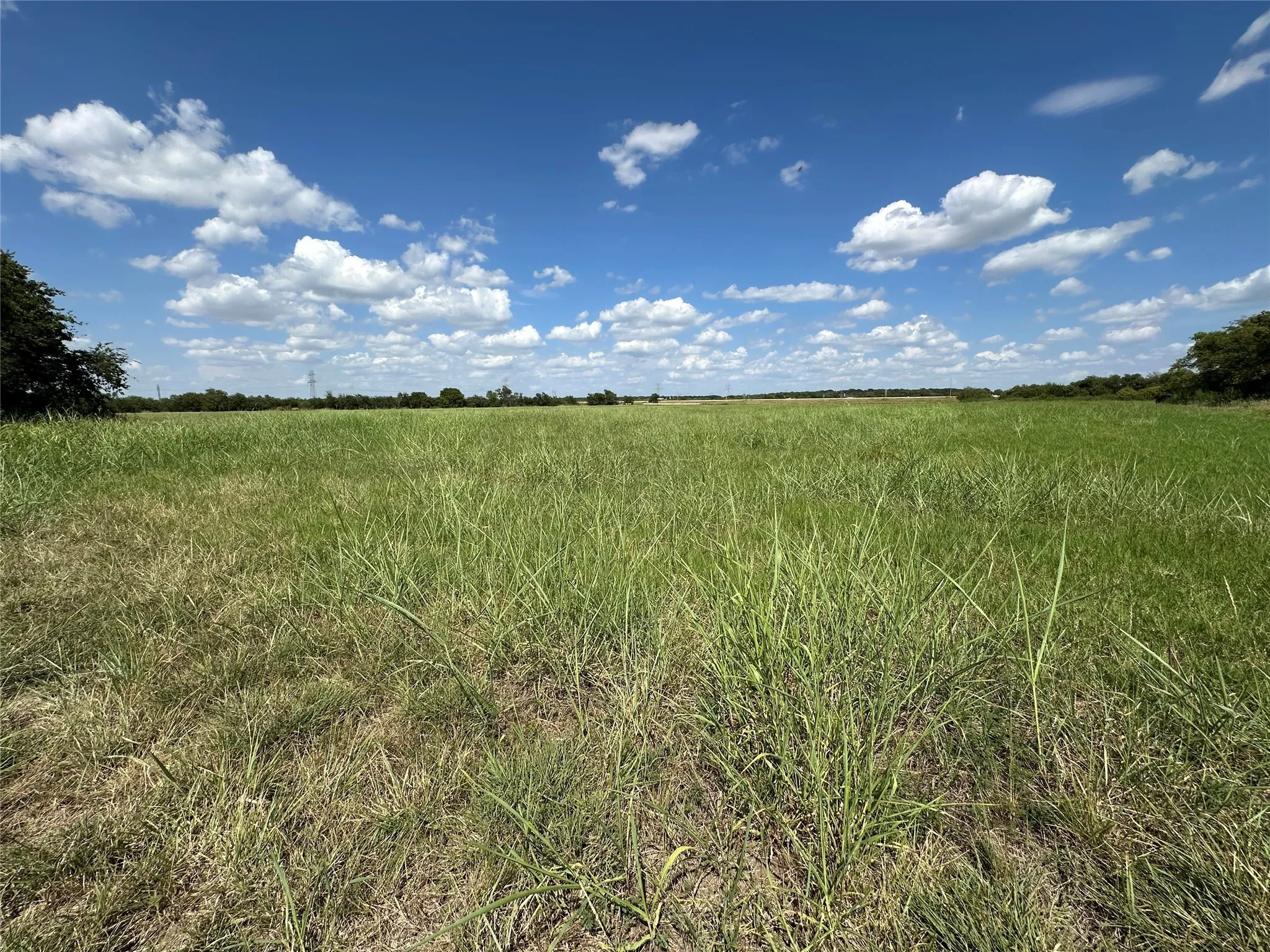 View of local wilderness with rural landscape