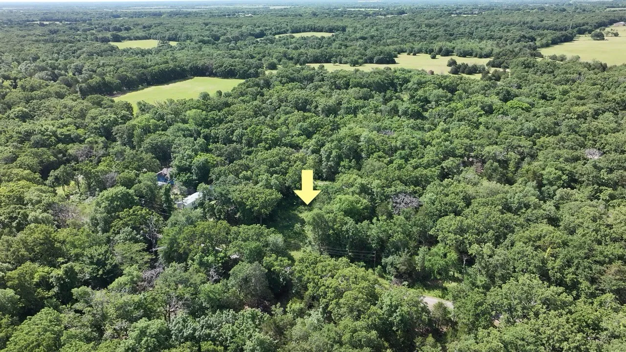 Aerial view of property and surrounding area with a forest