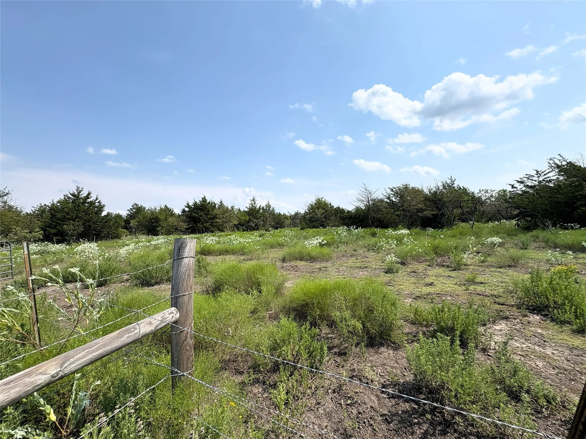 View of yard with a view of rural / pastoral area