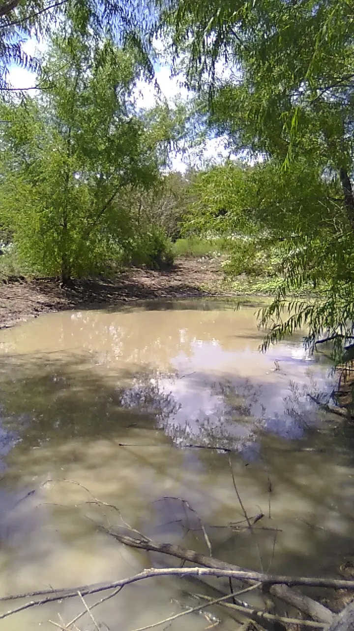 Improved Land For Sale in Limestone County , 155 Private Road 5462, Mexia, Texas 76667, 0, 0, Garage spaces, 0 Sqft, built in 0, mls#21044745, Real Estate Agent in Mexia, Homes For Sale in Limestone county, Homes For Sale in Mexia, Realtor in Mexia Texas, Real Estate Brokerage Independent Realty Texas, Luminita Cordes Realtor
