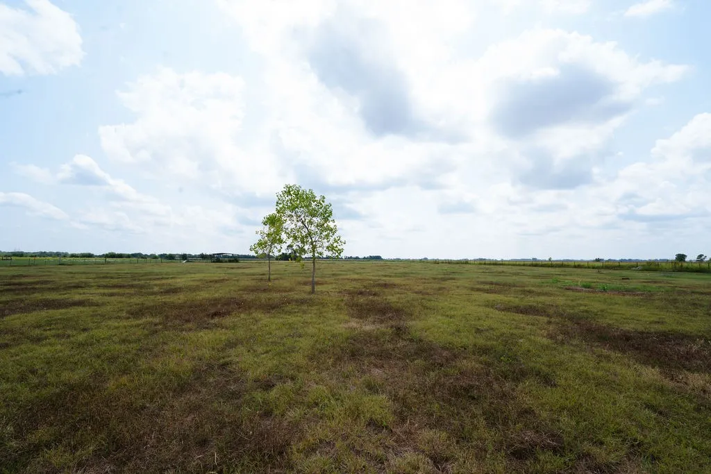 Unimproved Land For Sale in Ellis County , 1901 Hunsucker Road, Red Oak, Texas 75152, 0, 0, Garage spaces, 0 Sqft, built in 0, Price $399,000, mls#21045438, Real Estate Agent in Red Oak, Homes For Sale in Ellis county, Homes For Sale in Red Oak, Realtor in Red Oak Texas, Real Estate Brokerage Independent Realty Texas, Luminita Cordes Realtor