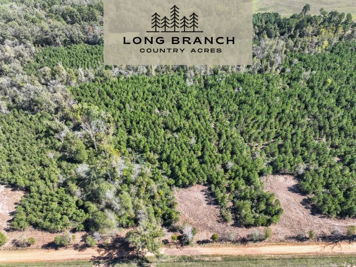 Unimproved Land For Sale in Panola County , 6 County Road 3121, Long Branch, Texas 75669, 0, 0, Garage spaces, 0 Sqft, built in 0, Price $53,625, mls#21045970, Real Estate Agent in Long Branch, Homes For Sale in Panola county, Homes For Sale in Long Branch, Realtor in Long Branch Texas, Real Estate Brokerage Independent Realty Texas, Luminita Cordes Realtor