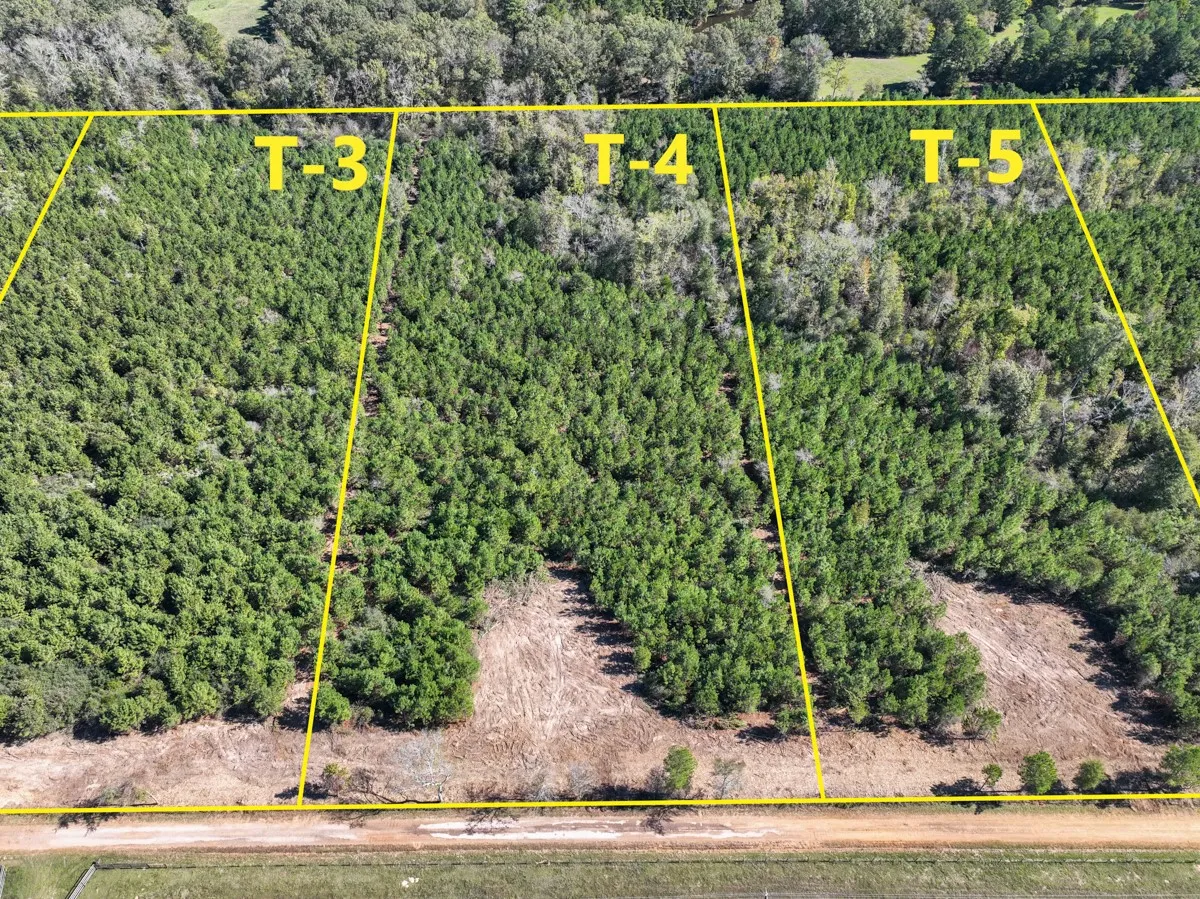 View of property location featuring property boundaries highlighted and a forest