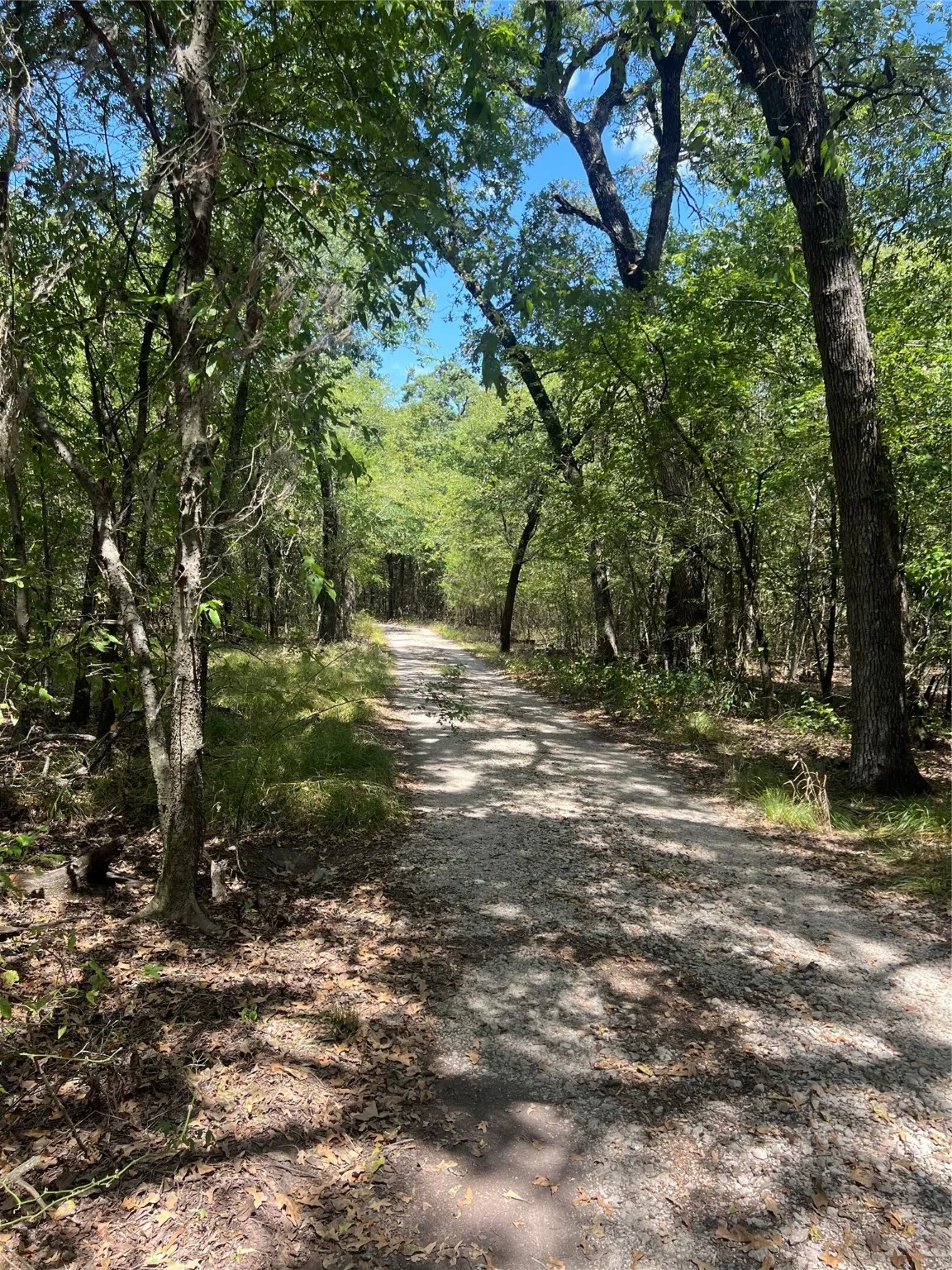 View of street with a view of trees
