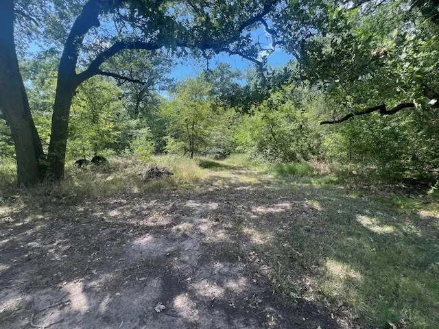 View of wooded area