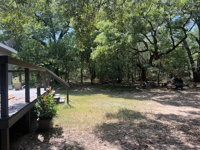 View of green lawn