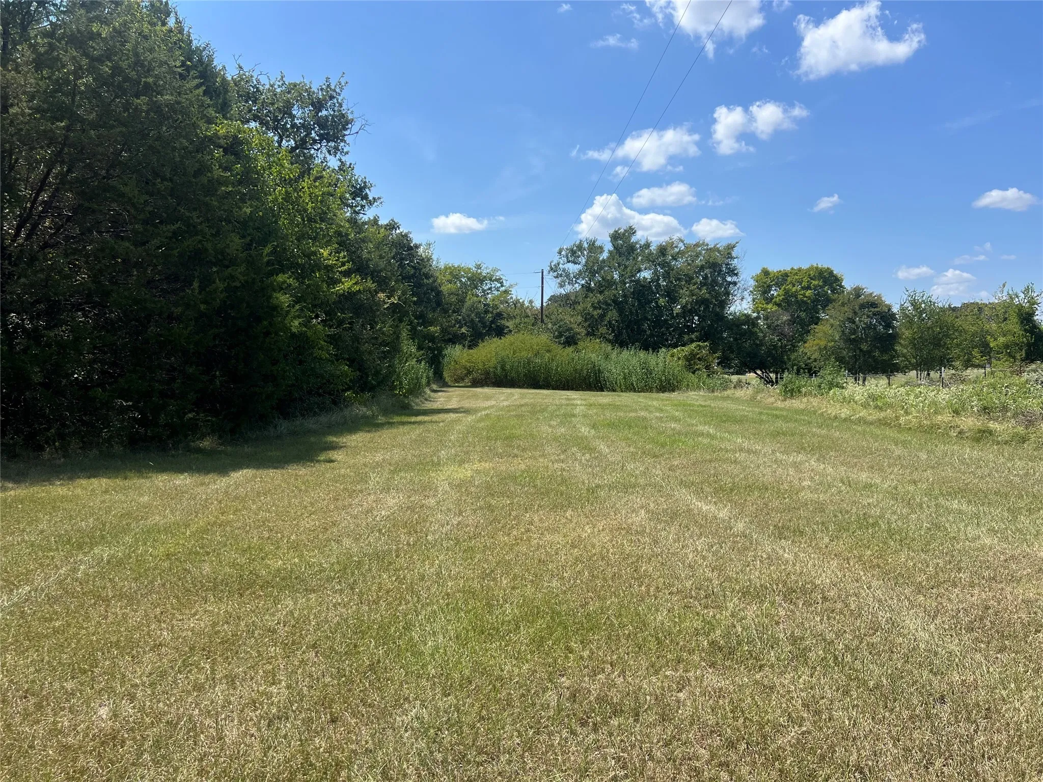 View of green lawn