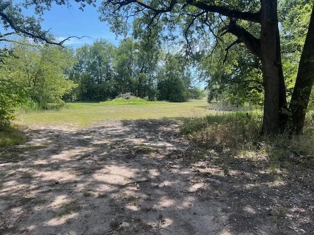 View of undeveloped land