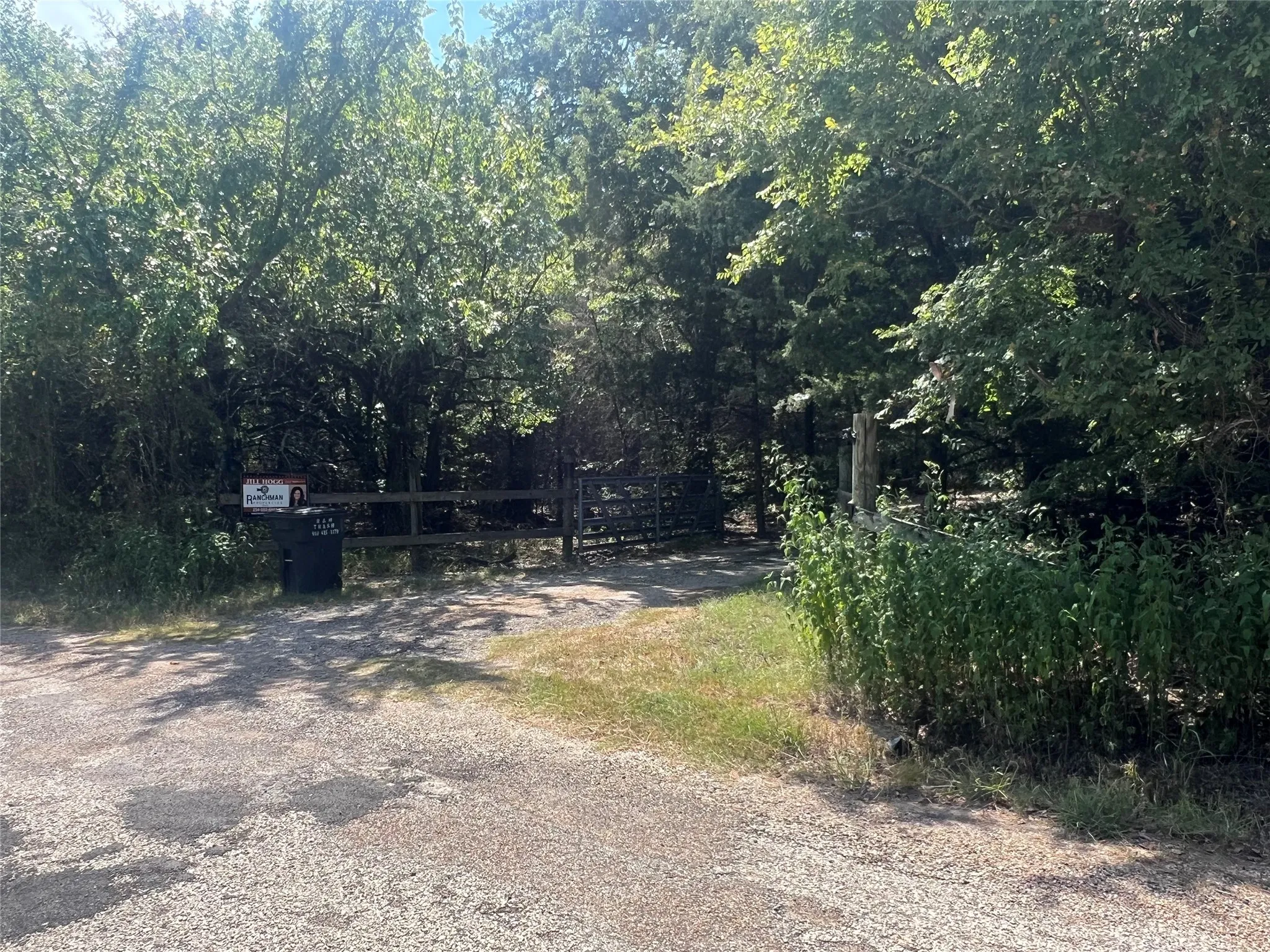 View of asphalt road with a forest view