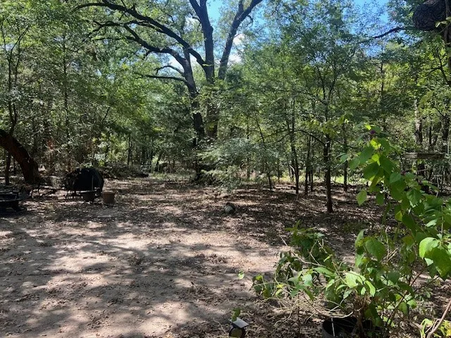 View of local wilderness