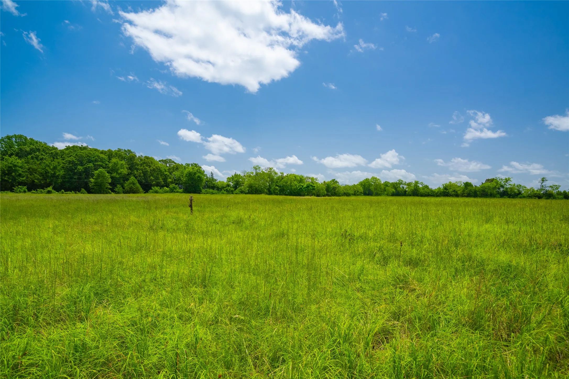 Ranch For Sale in Morris County , 0 County Road 3311, Omaha, Texas 75571, 0, 0, Garage spaces, 0 Sqft, built in 0, Price $495,000, mls#21046364, Real Estate Agent in Omaha, Homes For Sale in Morris county, Homes For Sale in Omaha, Realtor in Omaha Texas, Real Estate Brokerage Independent Realty Texas, Luminita Cordes Realtor