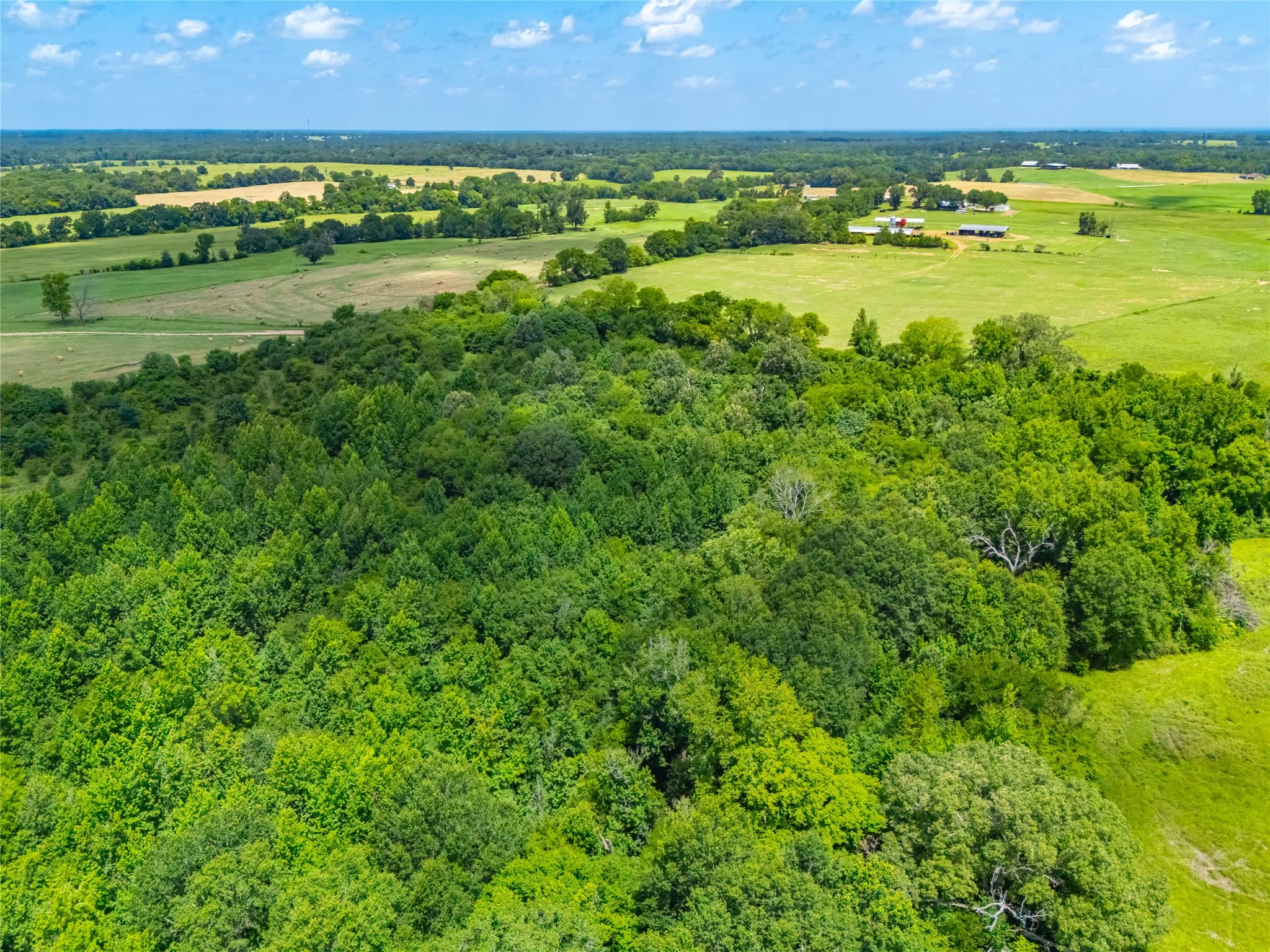 Ranch For Sale in Morris County , 0 County Road 3311, Omaha, Texas 75571, 0, 0, Garage spaces, 0 Sqft, built in 0, Price $495,000, mls#21046364, Real Estate Agent in Omaha, Homes For Sale in Morris county, Homes For Sale in Omaha, Realtor in Omaha Texas, Real Estate Brokerage Independent Realty Texas, Luminita Cordes Realtor