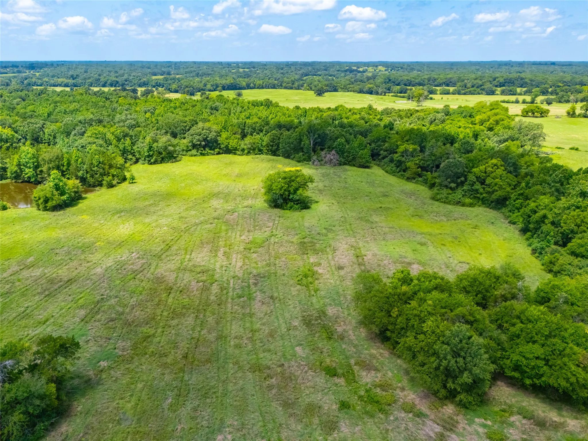 Ranch For Sale in Morris County , 0 County Road 3311, Omaha, Texas 75571, 0, 0, Garage spaces, 0 Sqft, built in 0, Price $495,000, mls#21046364, Real Estate Agent in Omaha, Homes For Sale in Morris county, Homes For Sale in Omaha, Realtor in Omaha Texas, Real Estate Brokerage Independent Realty Texas, Luminita Cordes Realtor