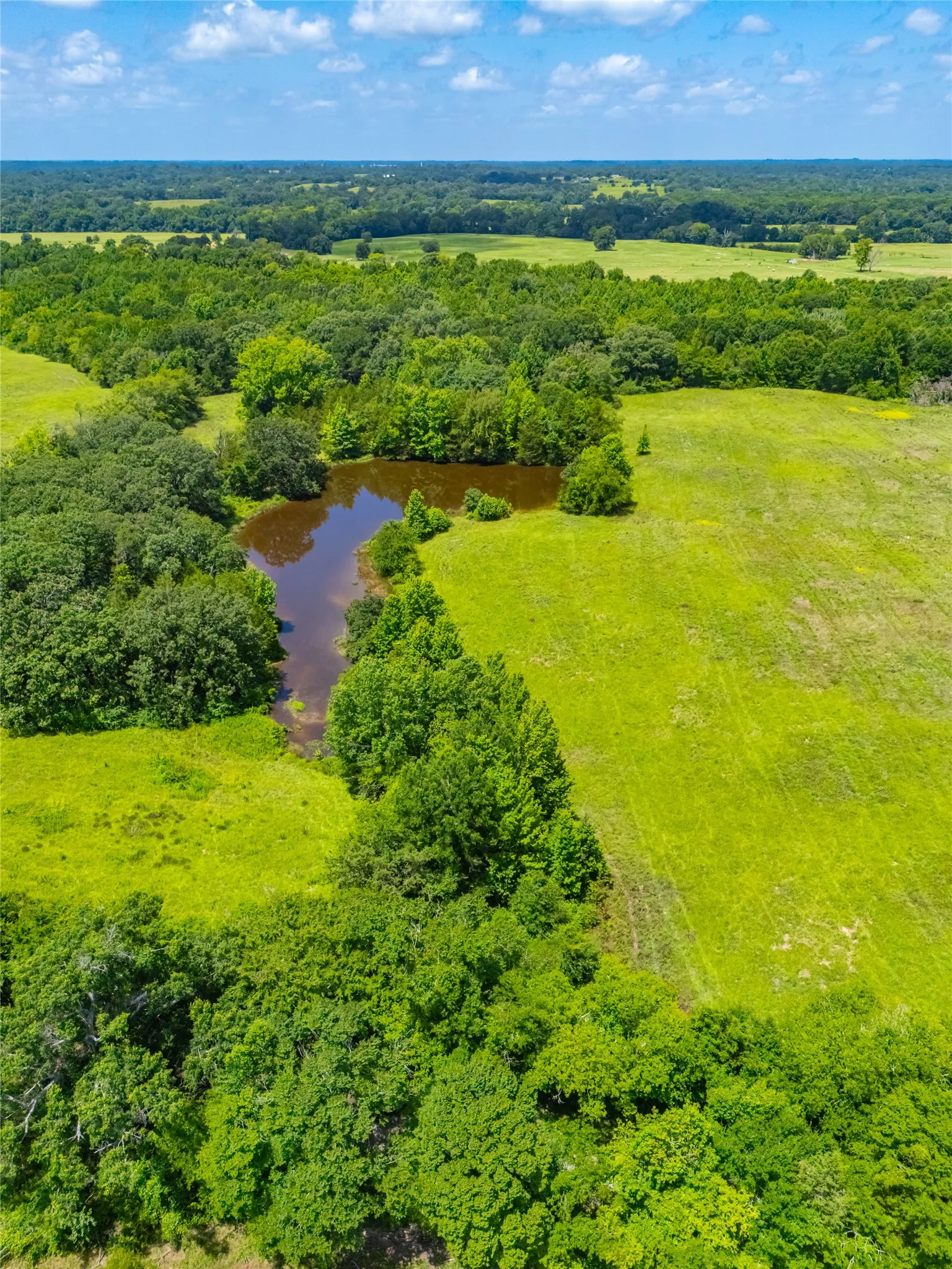 Ranch For Sale in Morris County , 0 County Road 3311, Omaha, Texas 75571, 0, 0, Garage spaces, 0 Sqft, built in 0, Price $495,000, mls#21046364, Real Estate Agent in Omaha, Homes For Sale in Morris county, Homes For Sale in Omaha, Realtor in Omaha Texas, Real Estate Brokerage Independent Realty Texas, Luminita Cordes Realtor