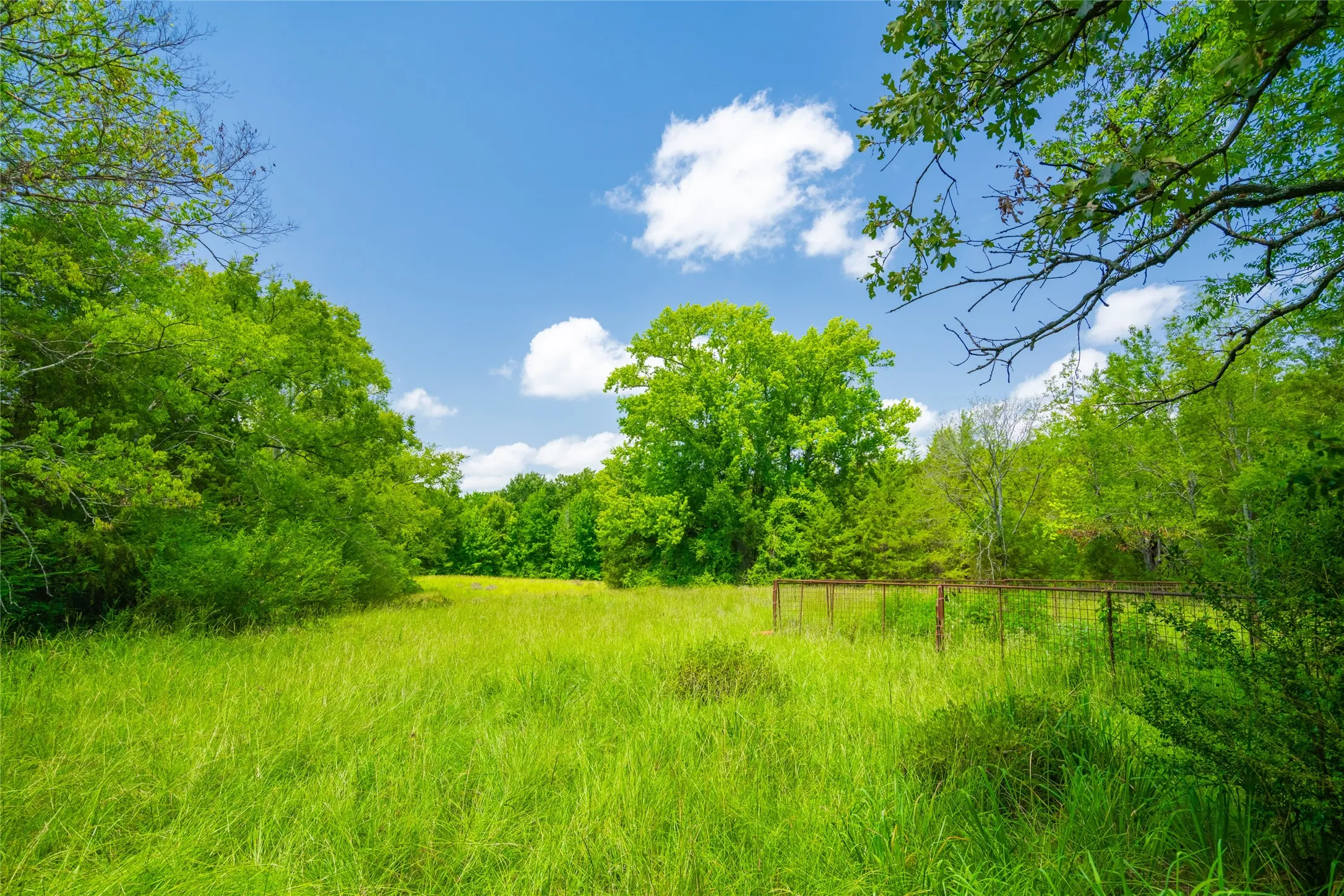 Ranch For Sale in Morris County , 0 County Road 3311, Omaha, Texas 75571, 0, 0, Garage spaces, 0 Sqft, built in 0, Price $495,000, mls#21046364, Real Estate Agent in Omaha, Homes For Sale in Morris county, Homes For Sale in Omaha, Realtor in Omaha Texas, Real Estate Brokerage Independent Realty Texas, Luminita Cordes Realtor