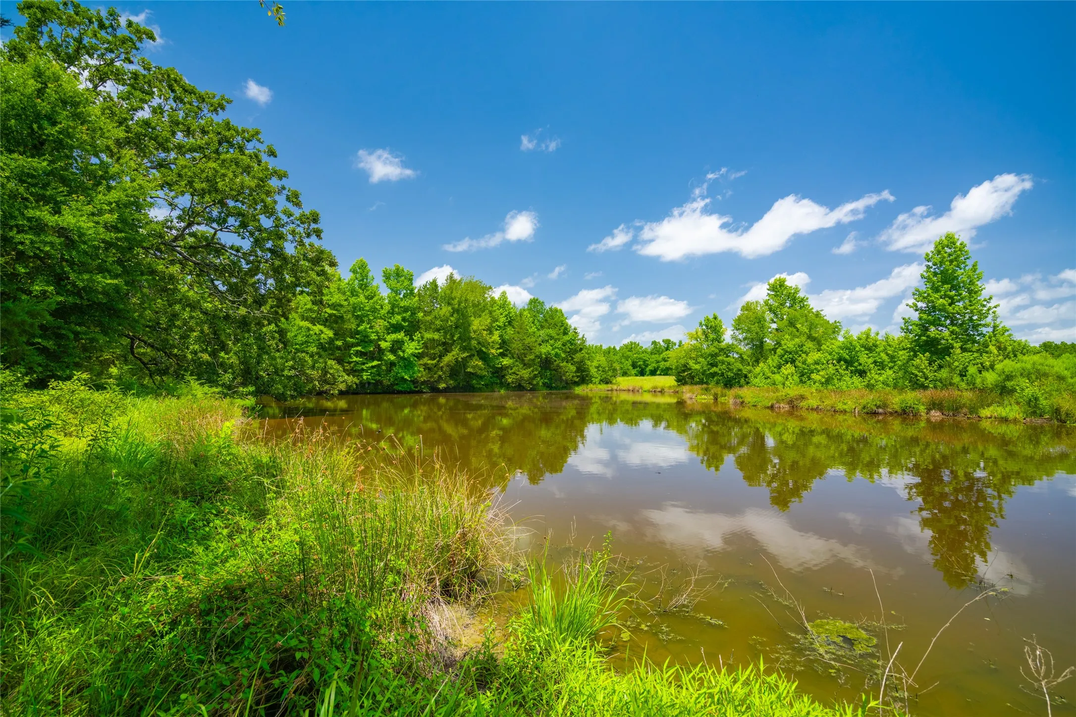 Ranch For Sale in Morris County , 0 County Road 3311, Omaha, Texas 75571, 0, 0, Garage spaces, 0 Sqft, built in 0, Price $495,000, mls#21046364, Real Estate Agent in Omaha, Homes For Sale in Morris county, Homes For Sale in Omaha, Realtor in Omaha Texas, Real Estate Brokerage Independent Realty Texas, Luminita Cordes Realtor