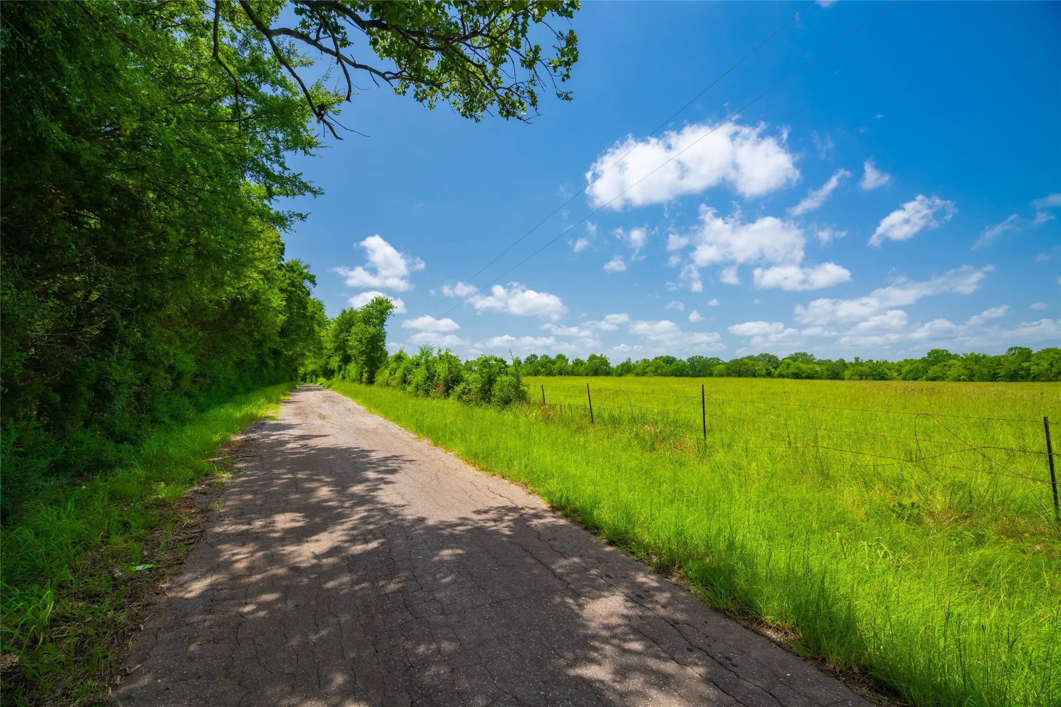 Ranch For Sale in Morris County , 0 County Road 3311, Omaha, Texas 75571, 0, 0, Garage spaces, 0 Sqft, built in 0, Price $495,000, mls#21046364, Real Estate Agent in Omaha, Homes For Sale in Morris county, Homes For Sale in Omaha, Realtor in Omaha Texas, Real Estate Brokerage Independent Realty Texas, Luminita Cordes Realtor