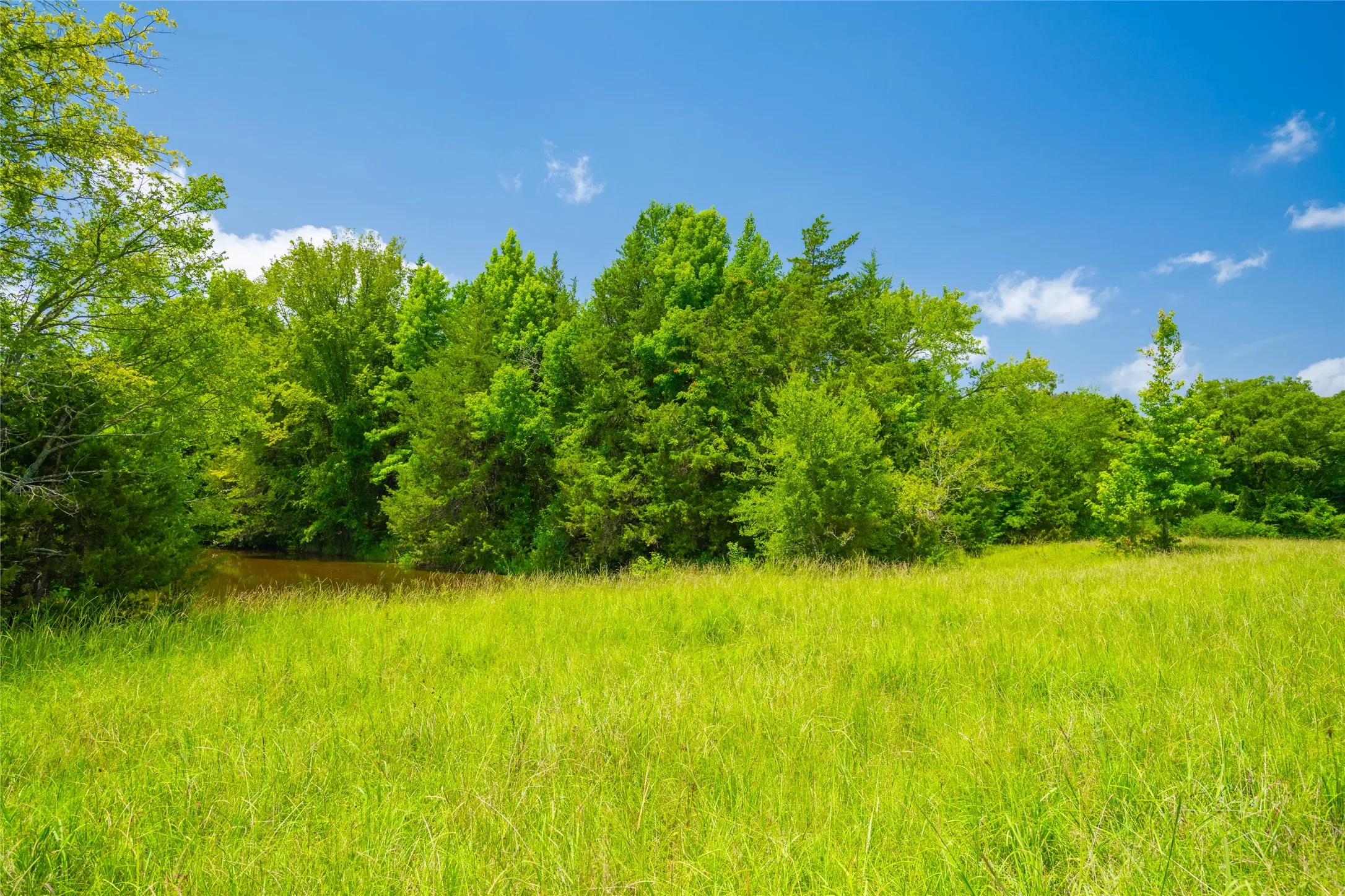 Ranch For Sale in Morris County , 0 County Road 3311, Omaha, Texas 75571, 0, 0, Garage spaces, 0 Sqft, built in 0, Price $495,000, mls#21046364, Real Estate Agent in Omaha, Homes For Sale in Morris county, Homes For Sale in Omaha, Realtor in Omaha Texas, Real Estate Brokerage Independent Realty Texas, Luminita Cordes Realtor