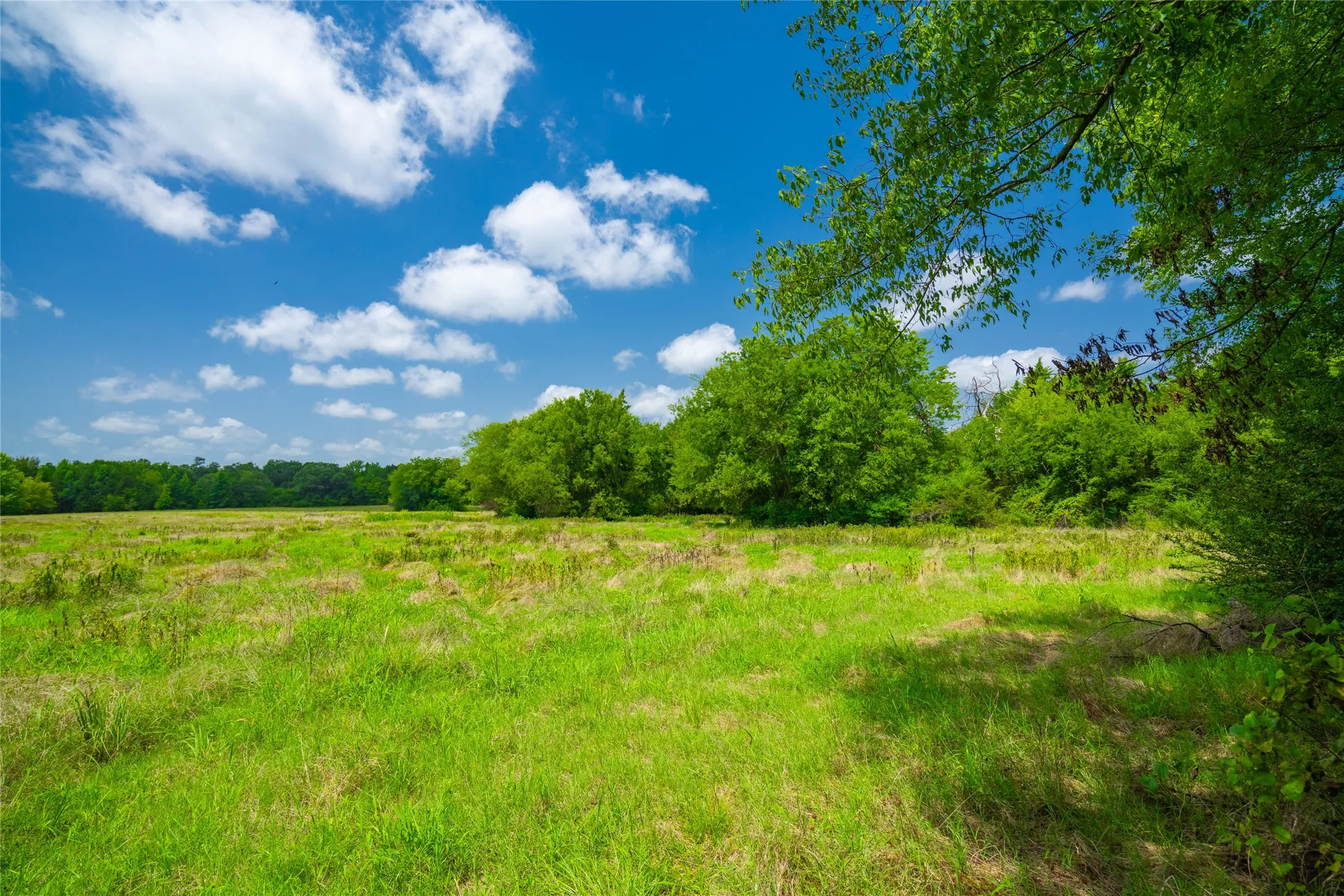 Ranch For Sale in Morris County , 0 County Road 3311, Omaha, Texas 75571, 0, 0, Garage spaces, 0 Sqft, built in 0, Price $495,000, mls#21046364, Real Estate Agent in Omaha, Homes For Sale in Morris county, Homes For Sale in Omaha, Realtor in Omaha Texas, Real Estate Brokerage Independent Realty Texas, Luminita Cordes Realtor